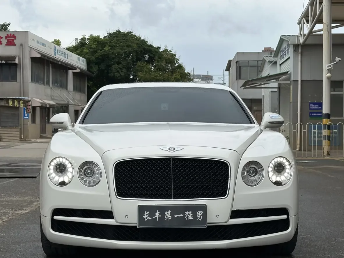 Bentley galloping