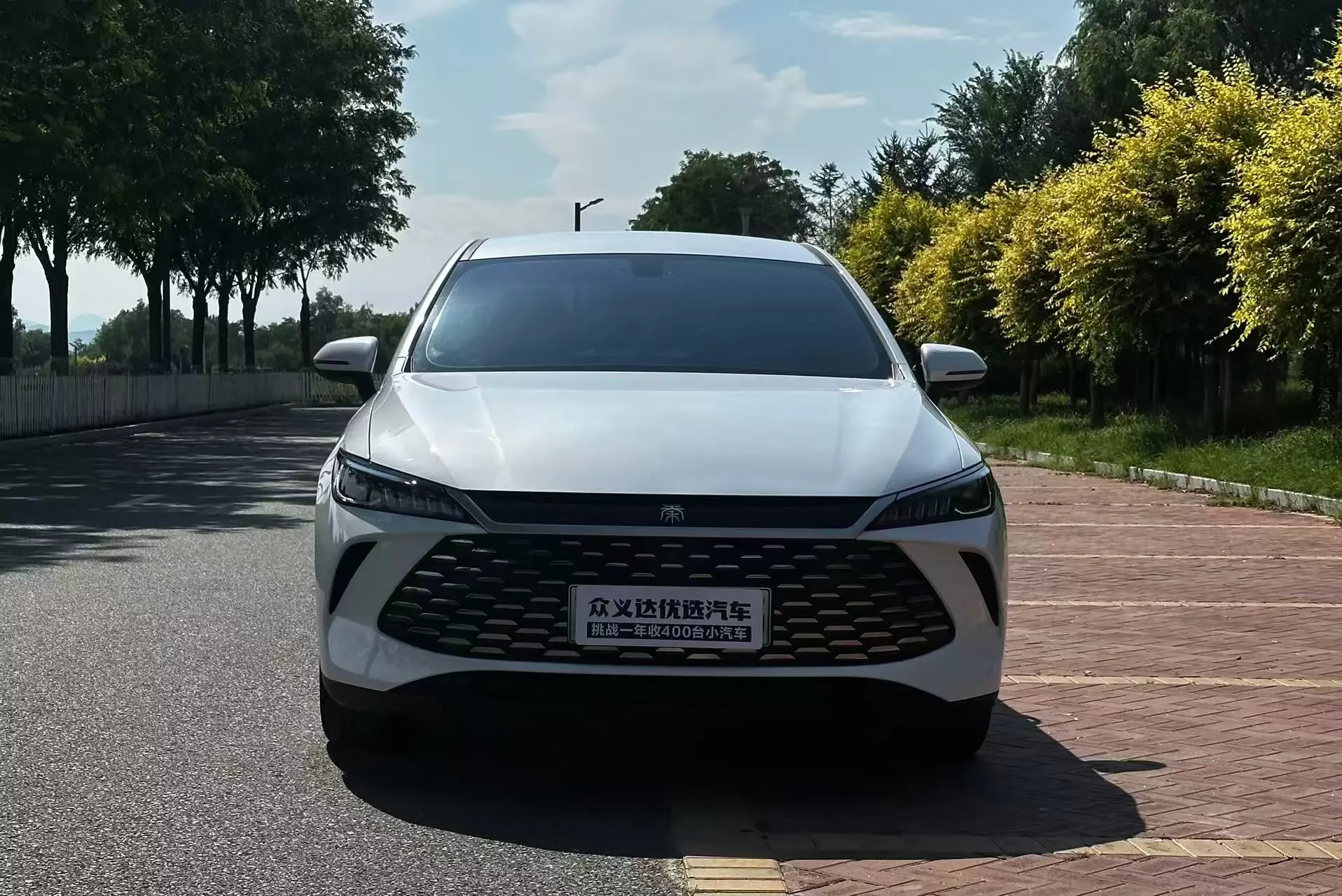 BYD Qin PLUS DM