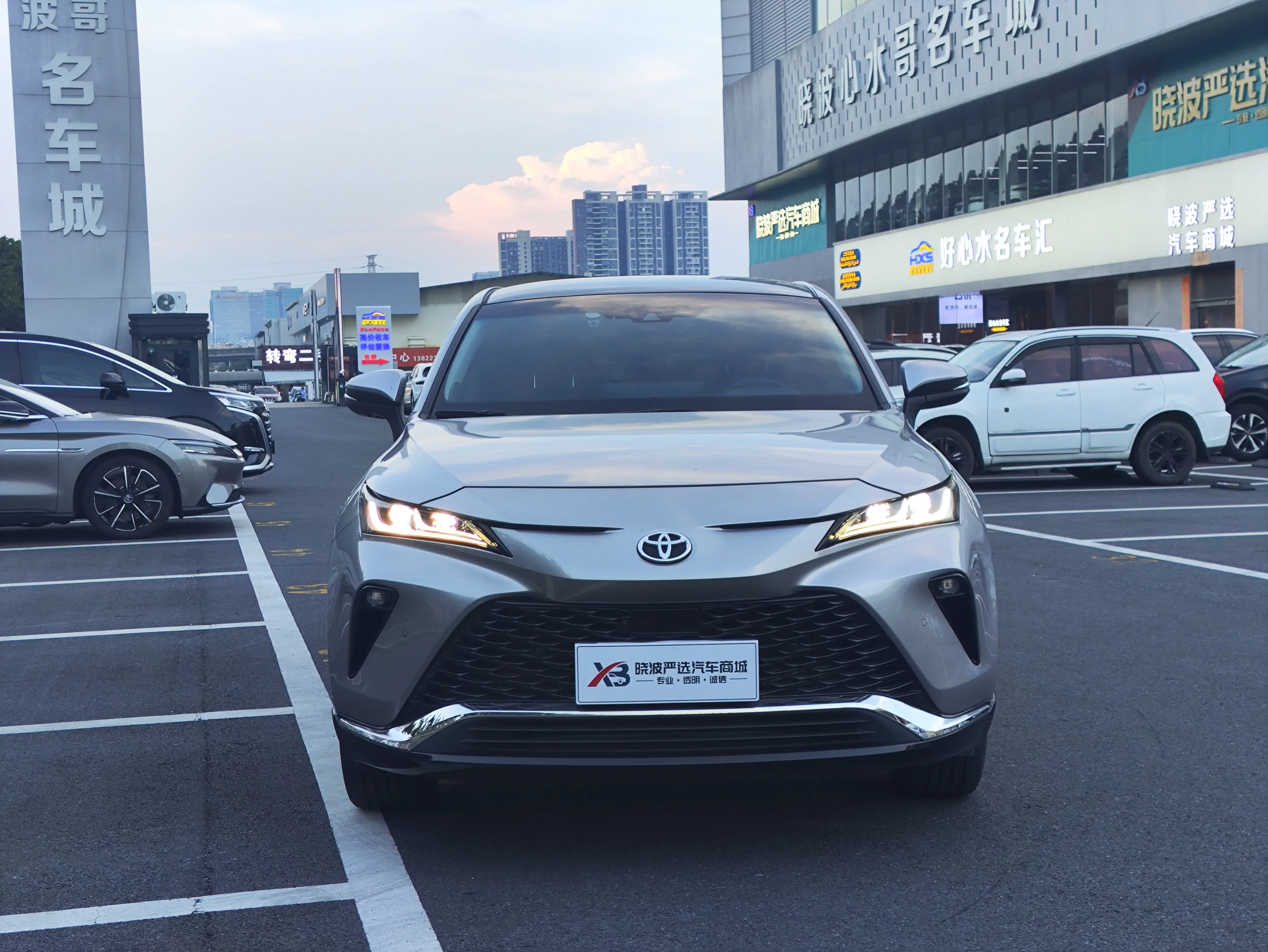 Toyota Venza (Wei Sa)