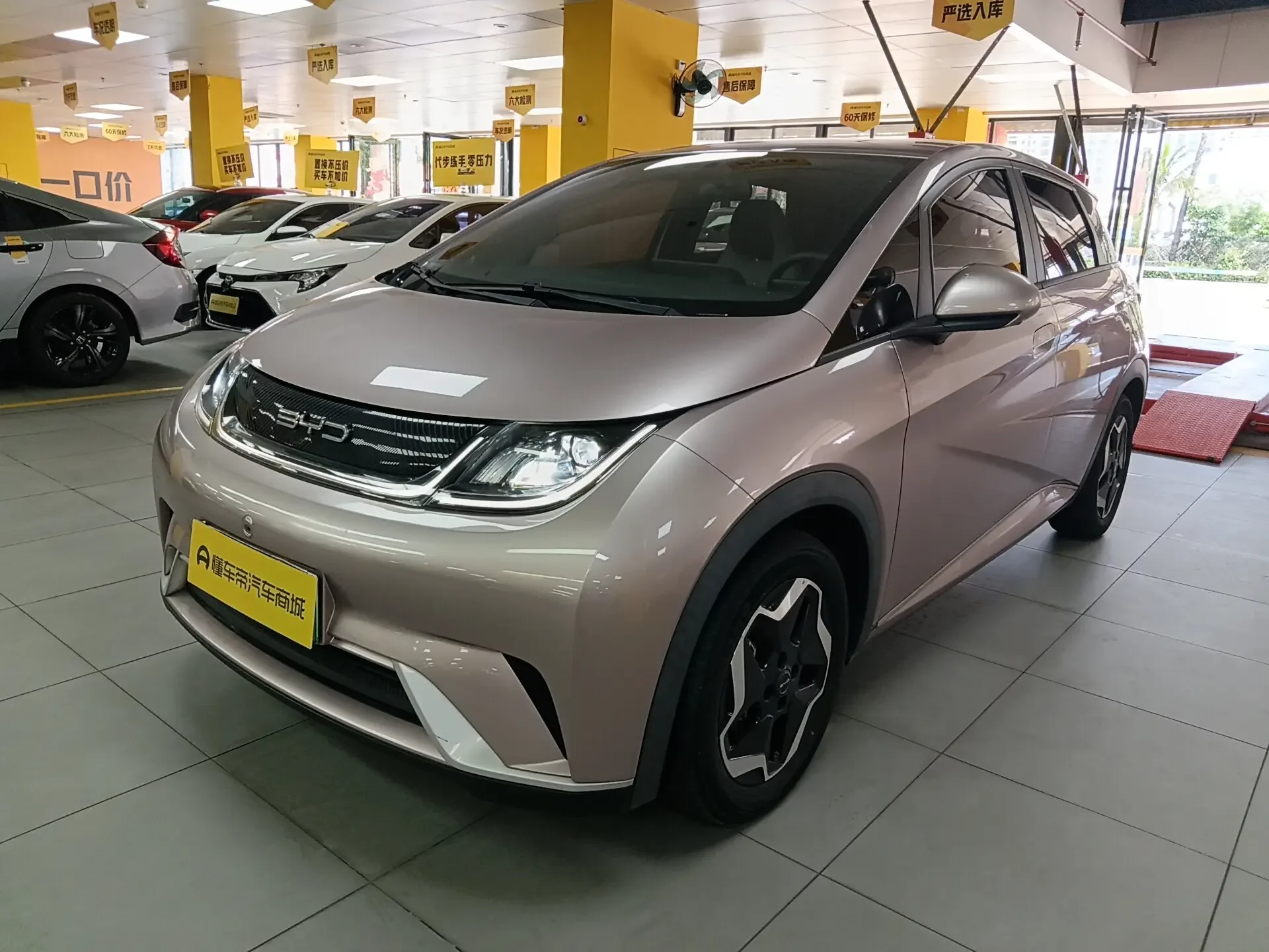 BYD dolphin