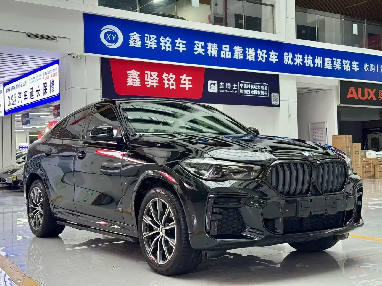 BMW X6