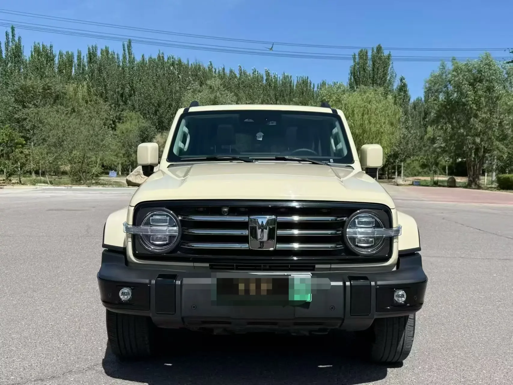 Tank 300 Hi4-T