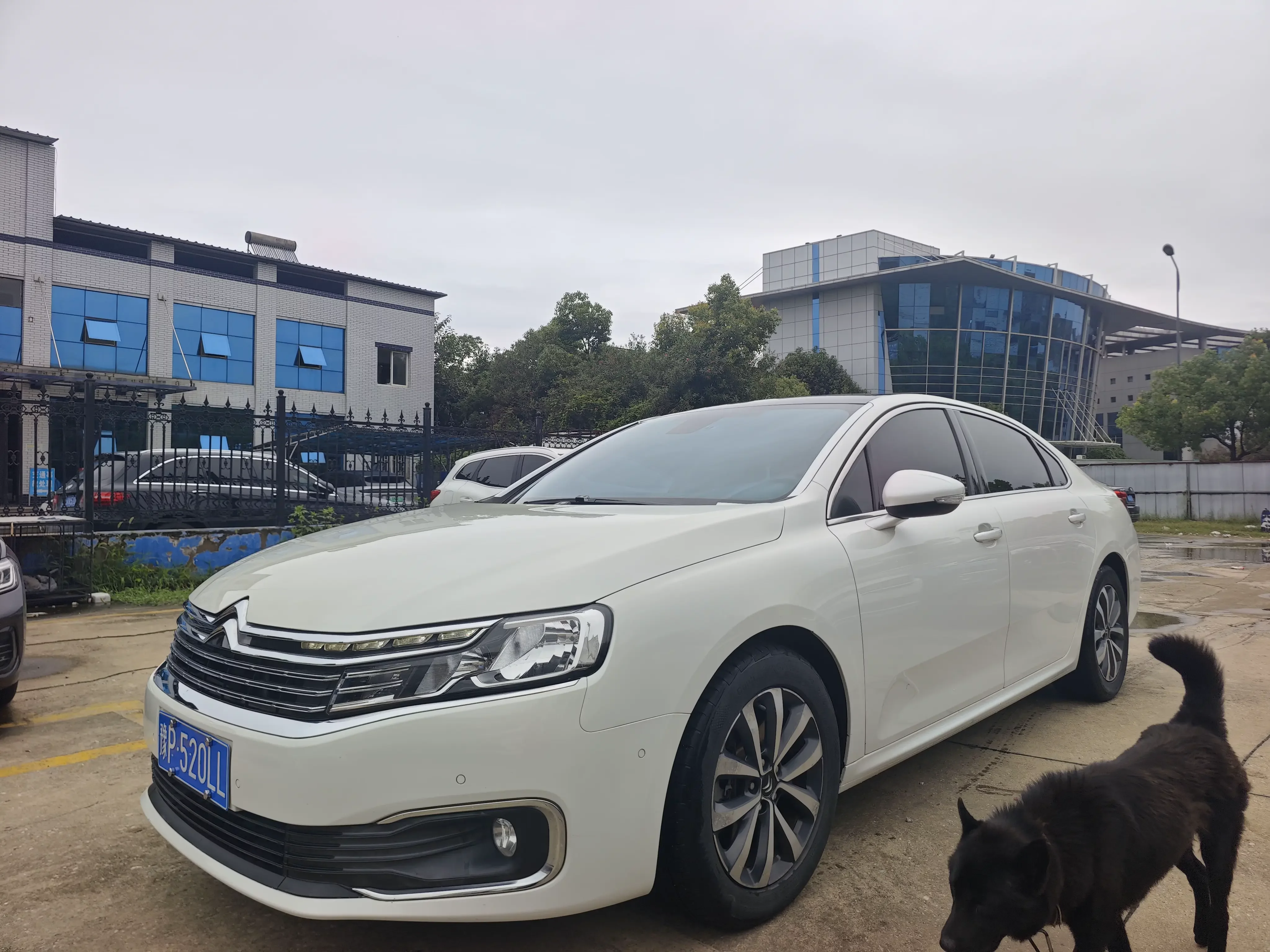 Citroën Citroen C6