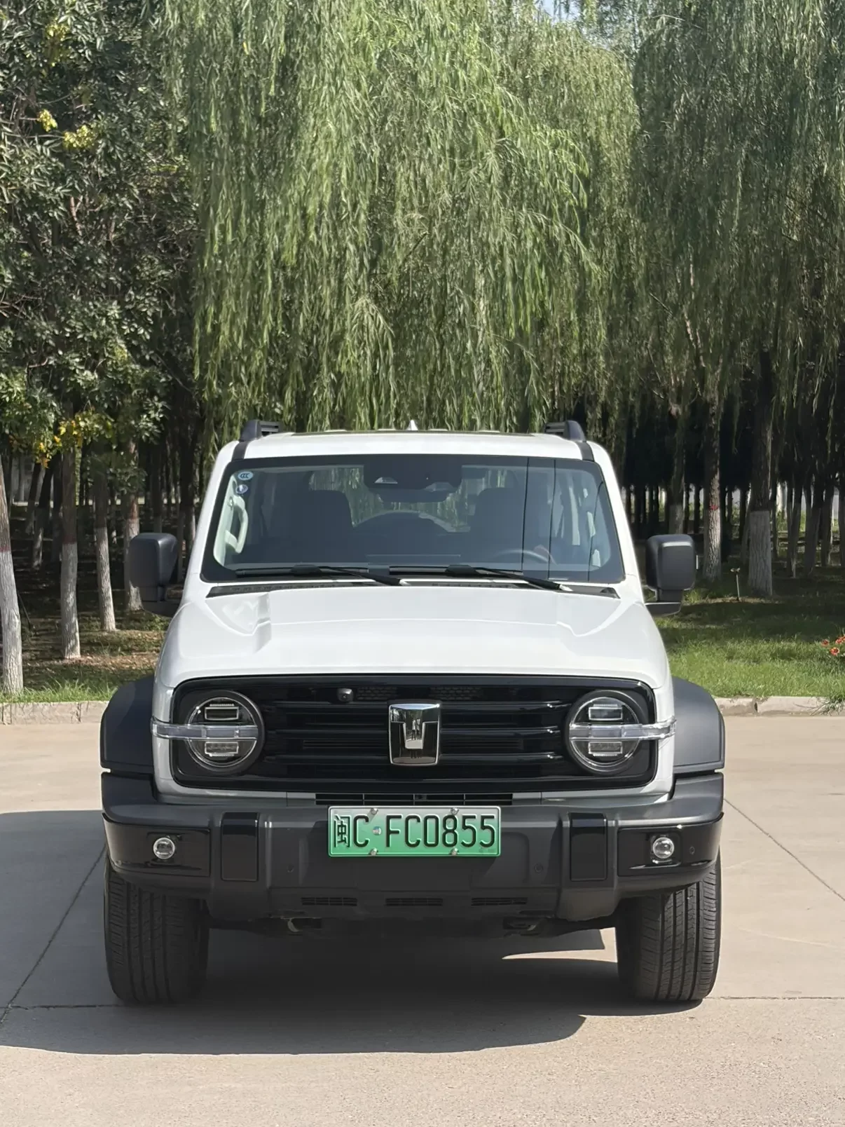 Tank 300 Hi4-T