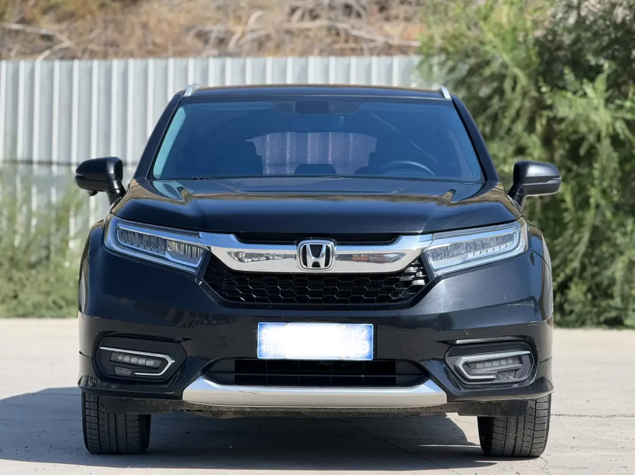 Honda Avancier (Crown Road)