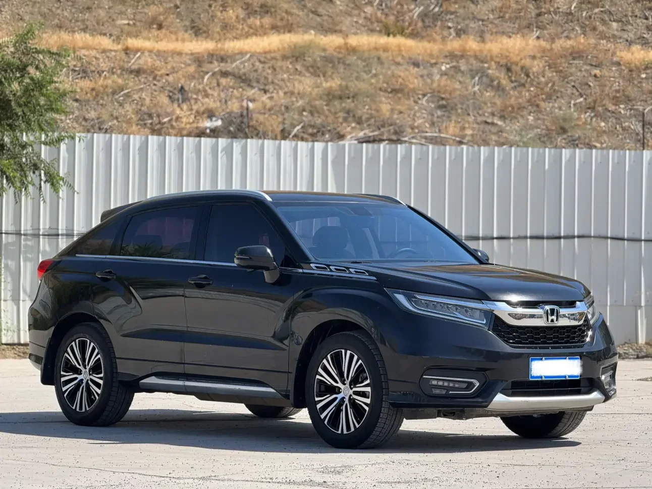 Honda Avancier (Crown Road)