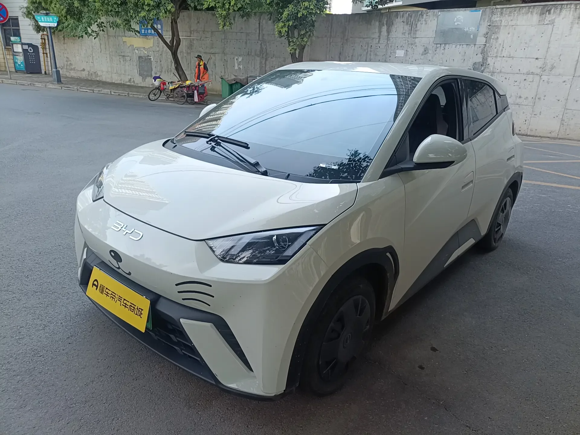 BYD seagull