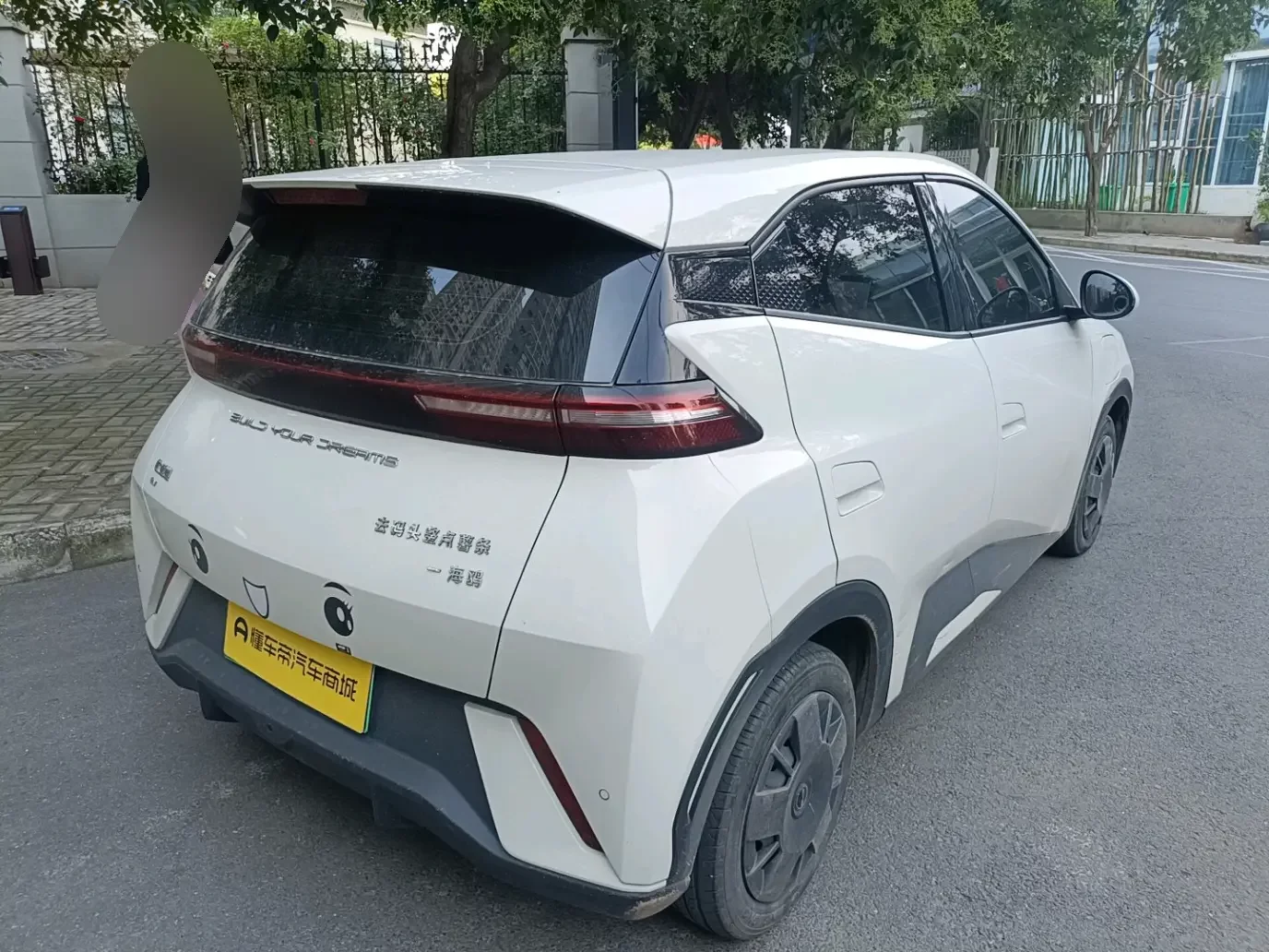 BYD seagull