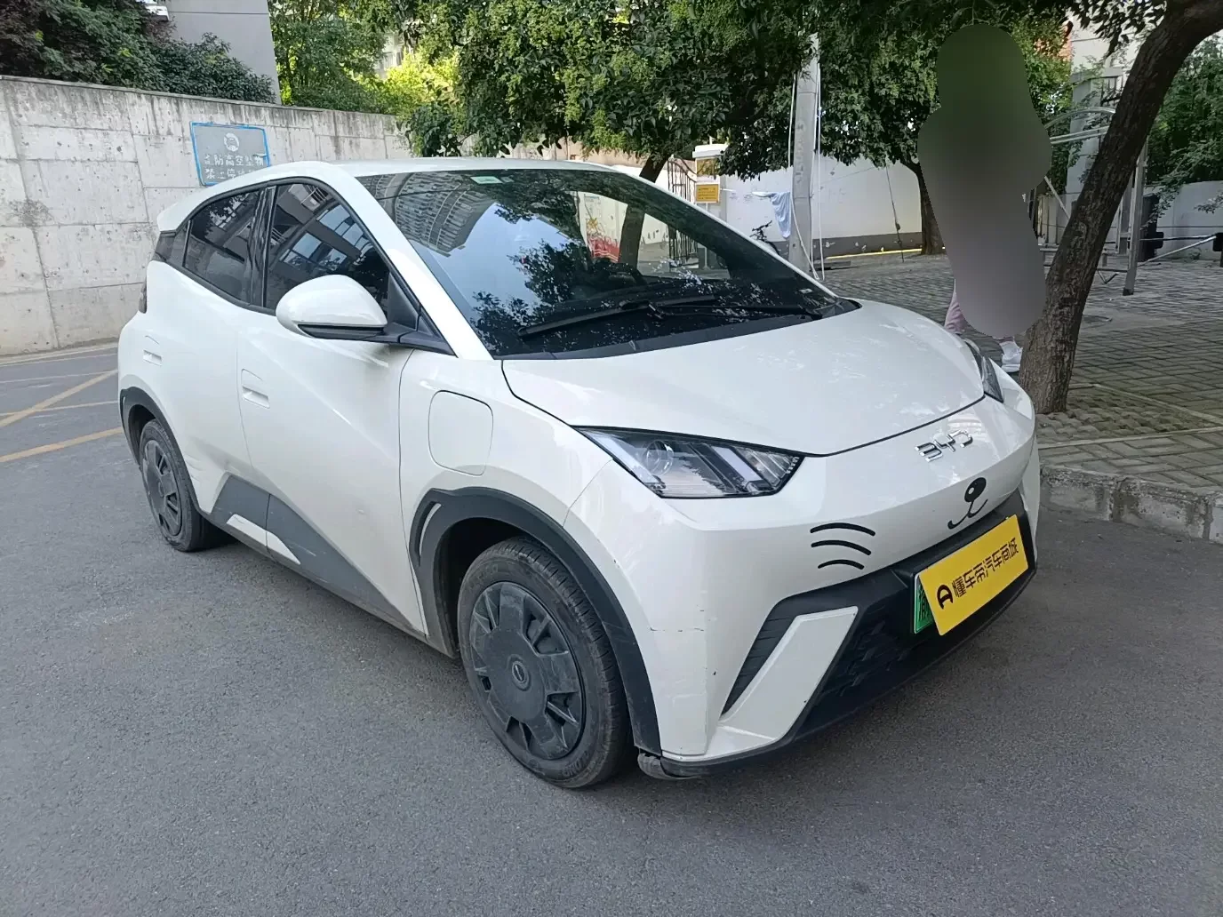 BYD seagull
