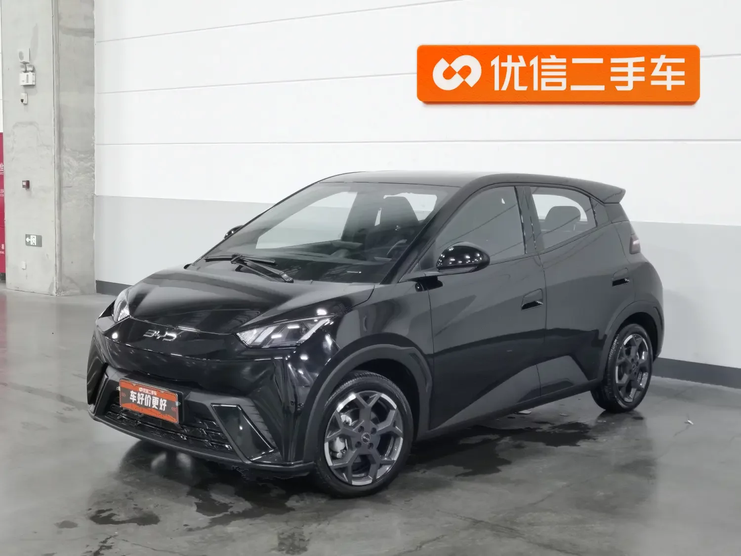 BYD seagull