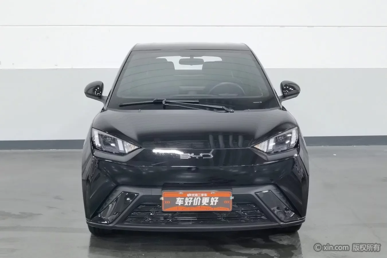 BYD seagull