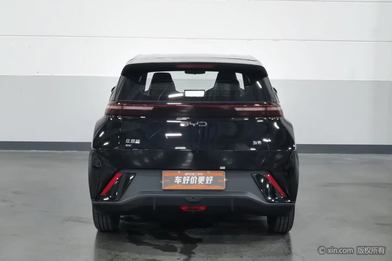 BYD seagull