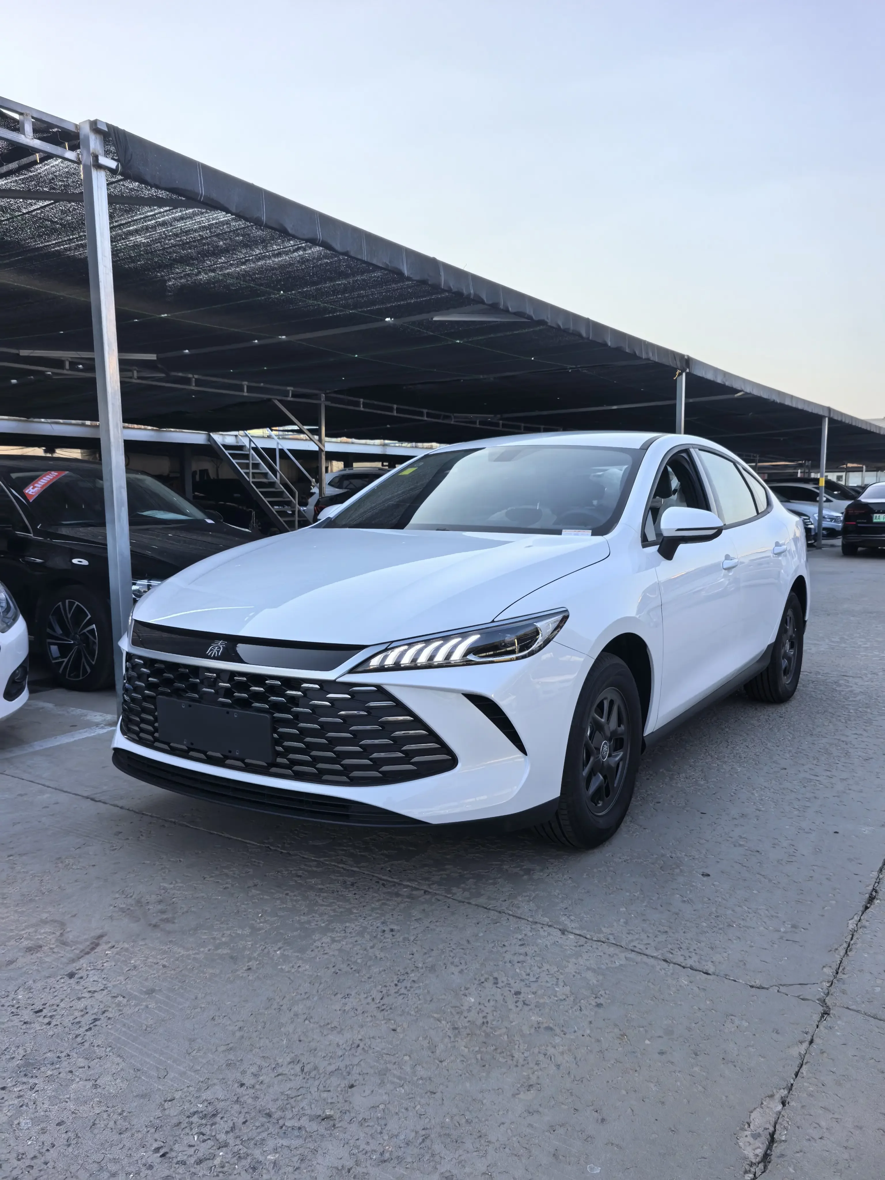 BYD Qin PLUS DM