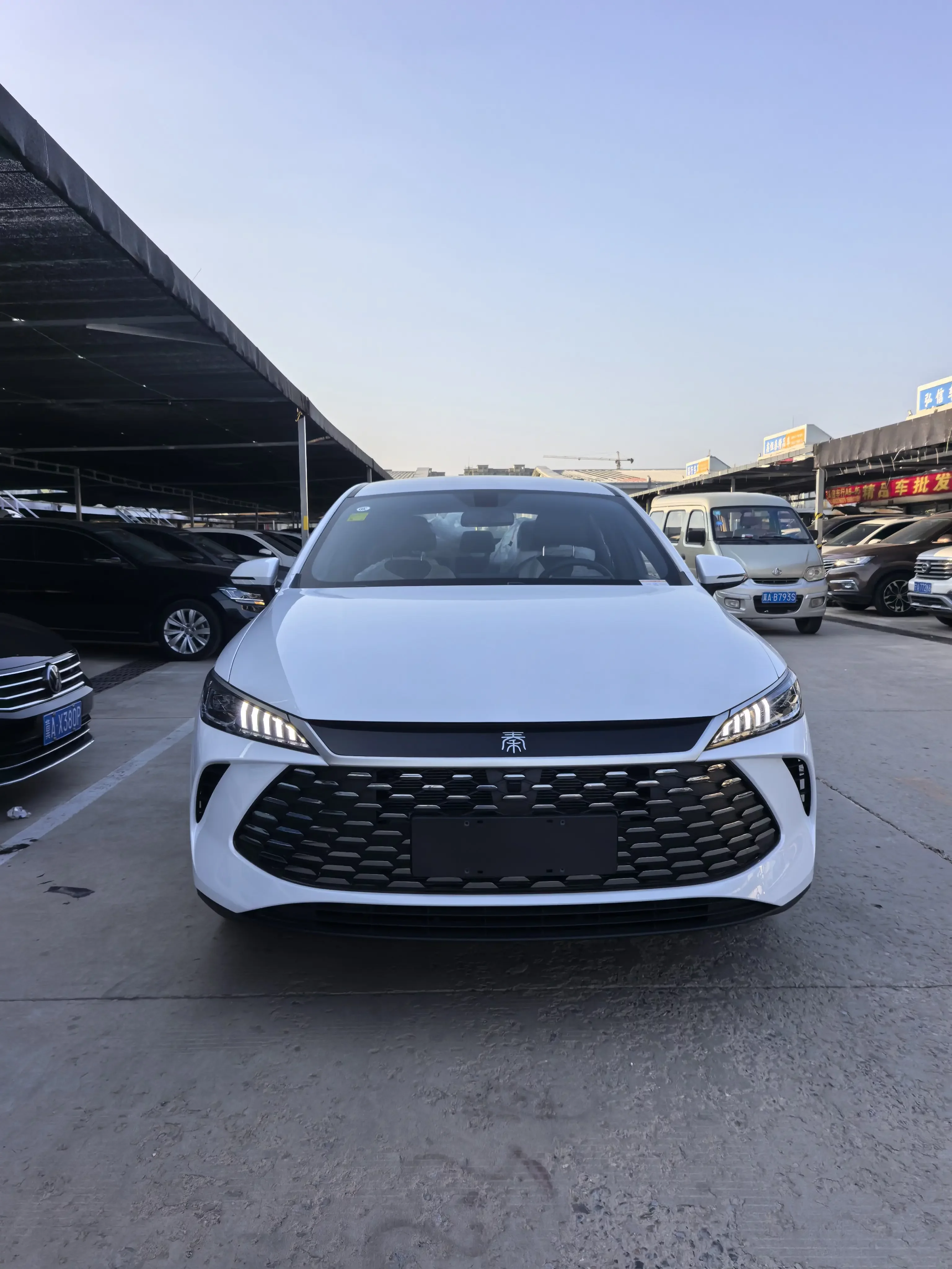 BYD Qin PLUS DM