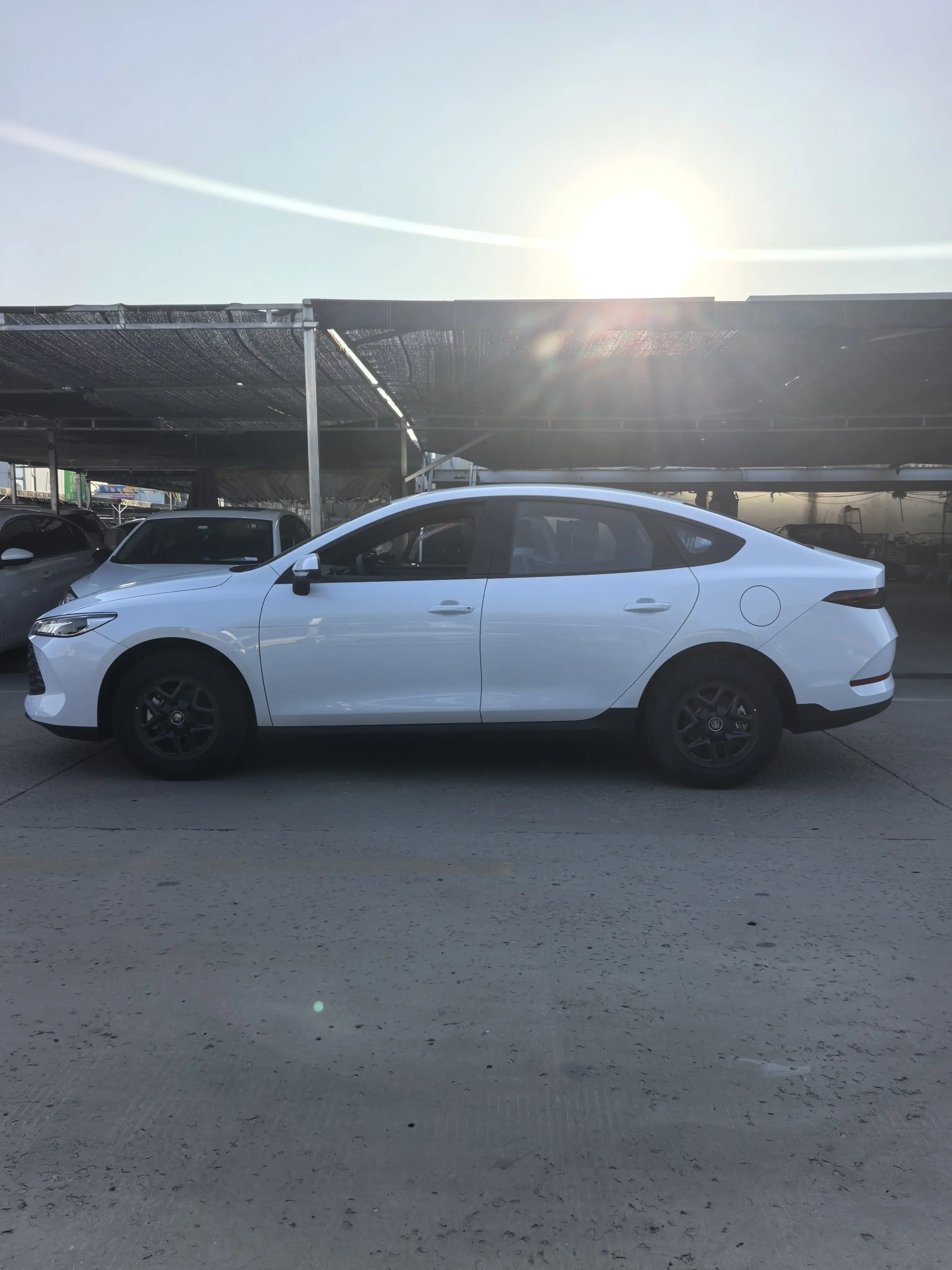 BYD Qin PLUS DM