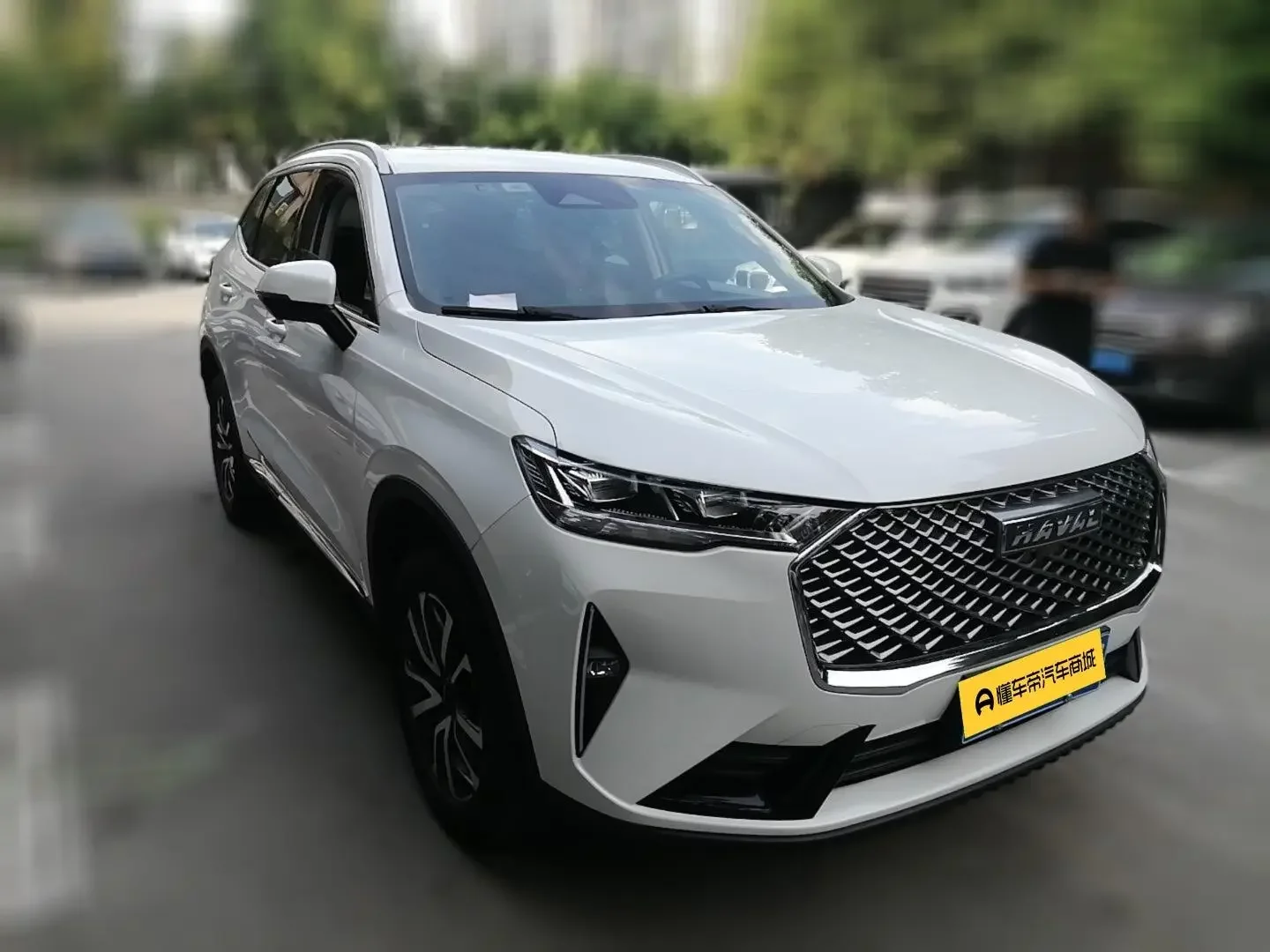 Haval H6