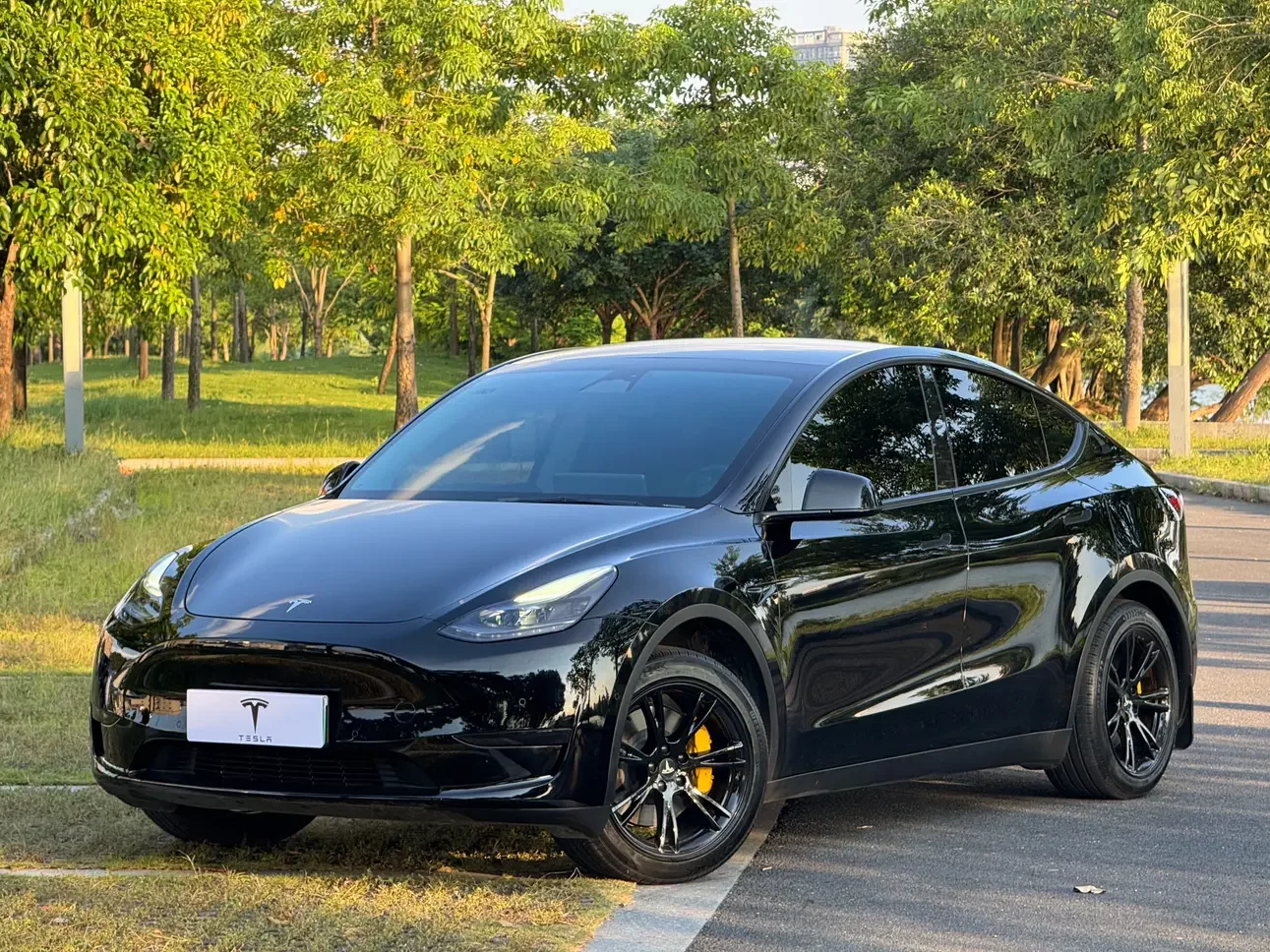 TESLA MODEL Y