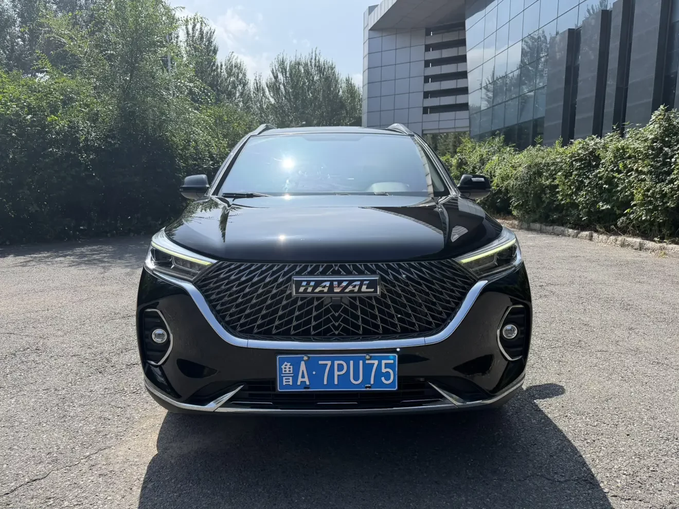 Haval M6