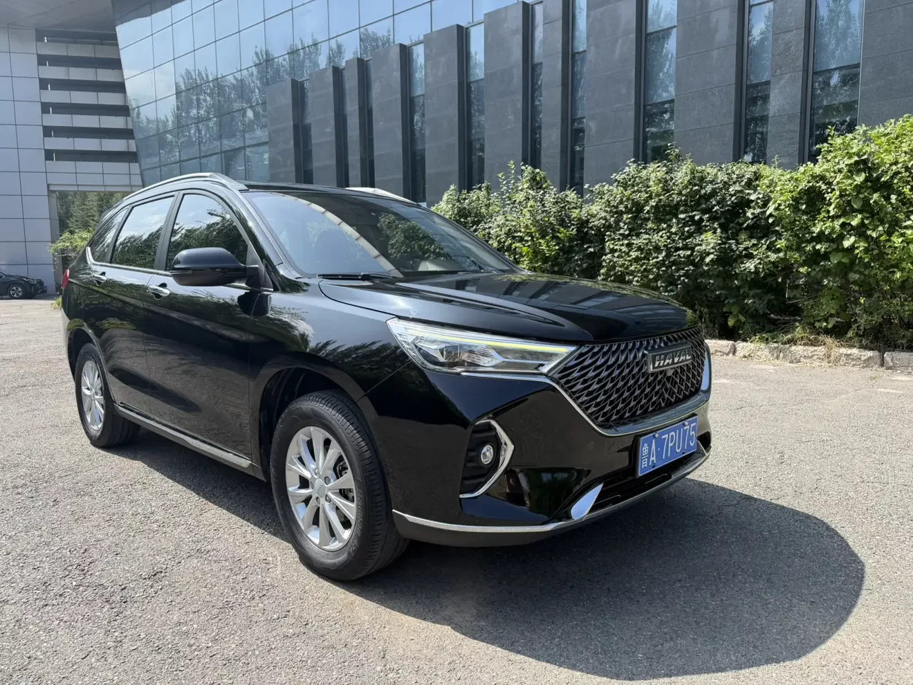 Haval M6