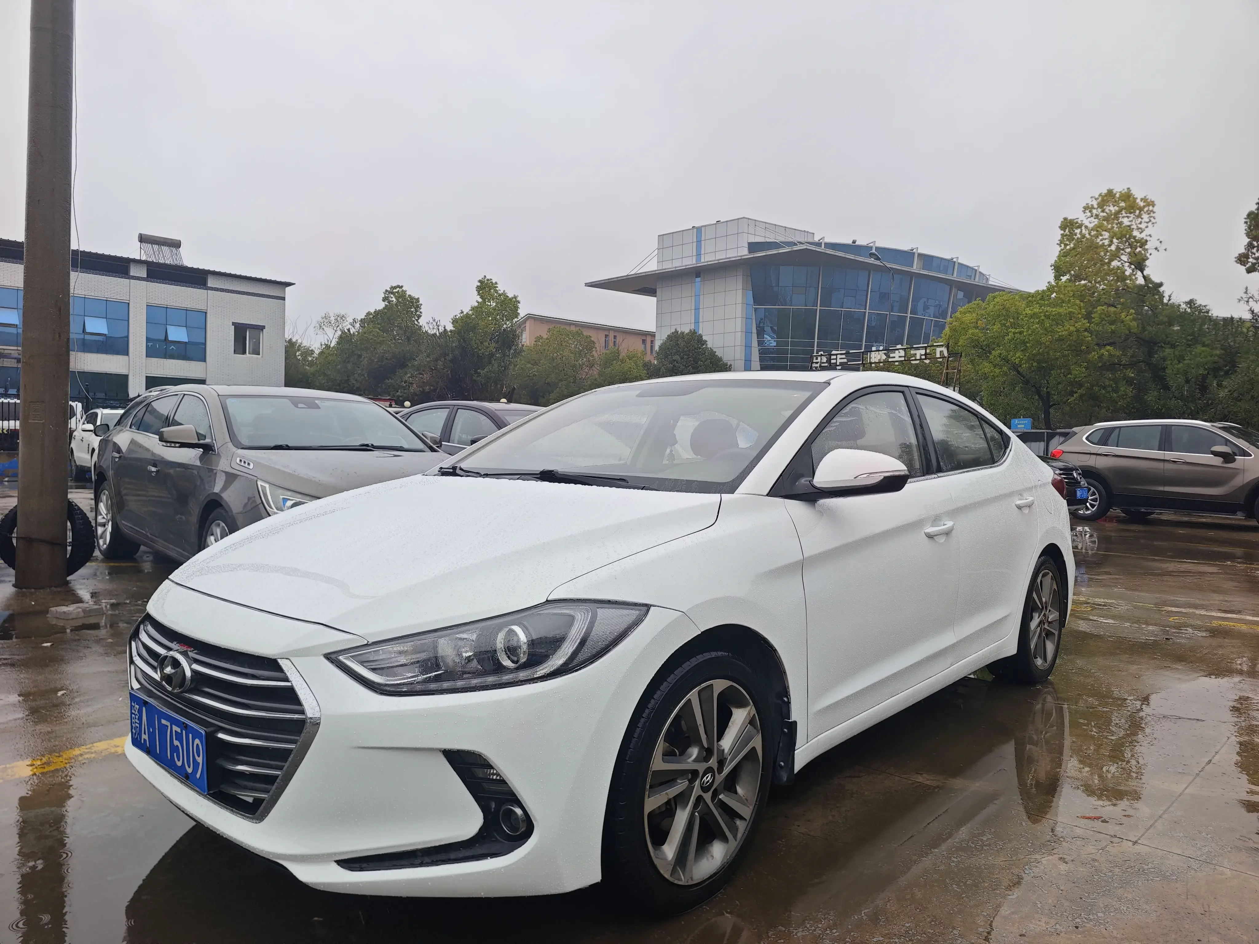 Hyundai lead