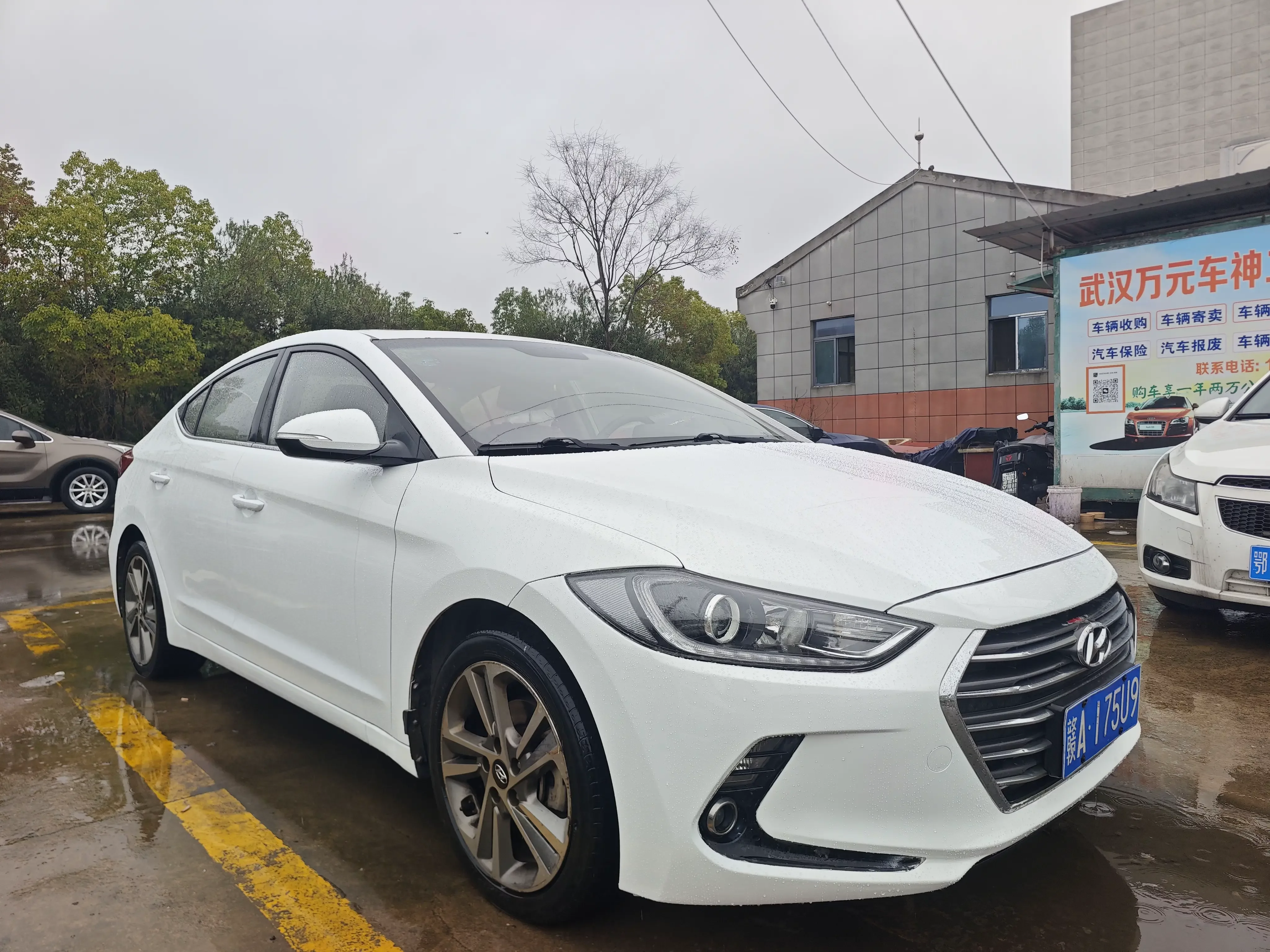Hyundai lead