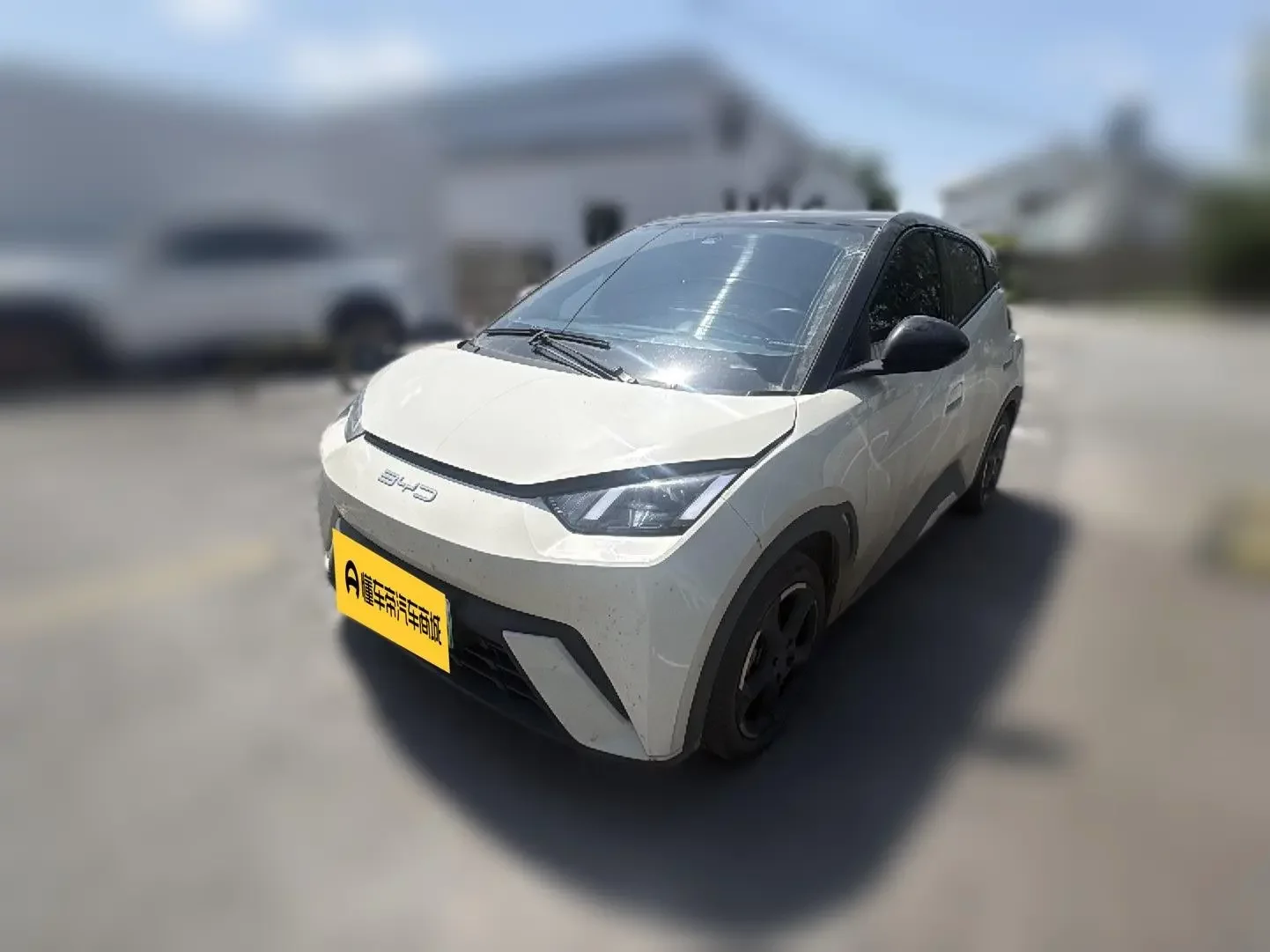 BYD seagull