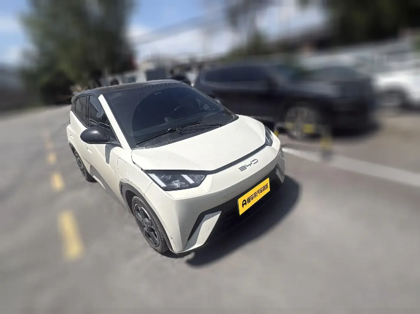 BYD seagull