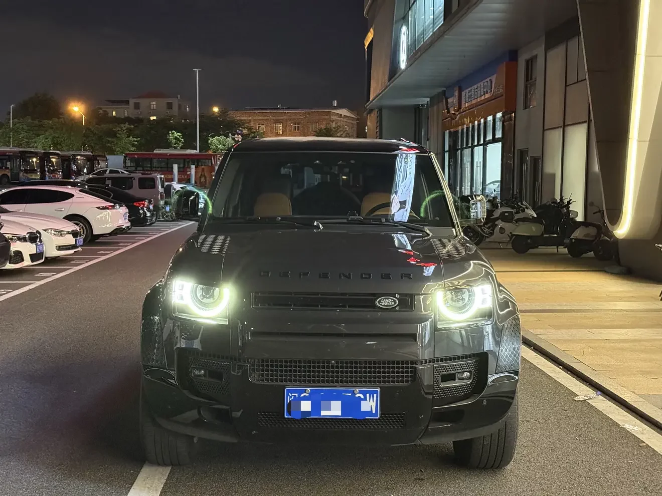 Land Rover guard