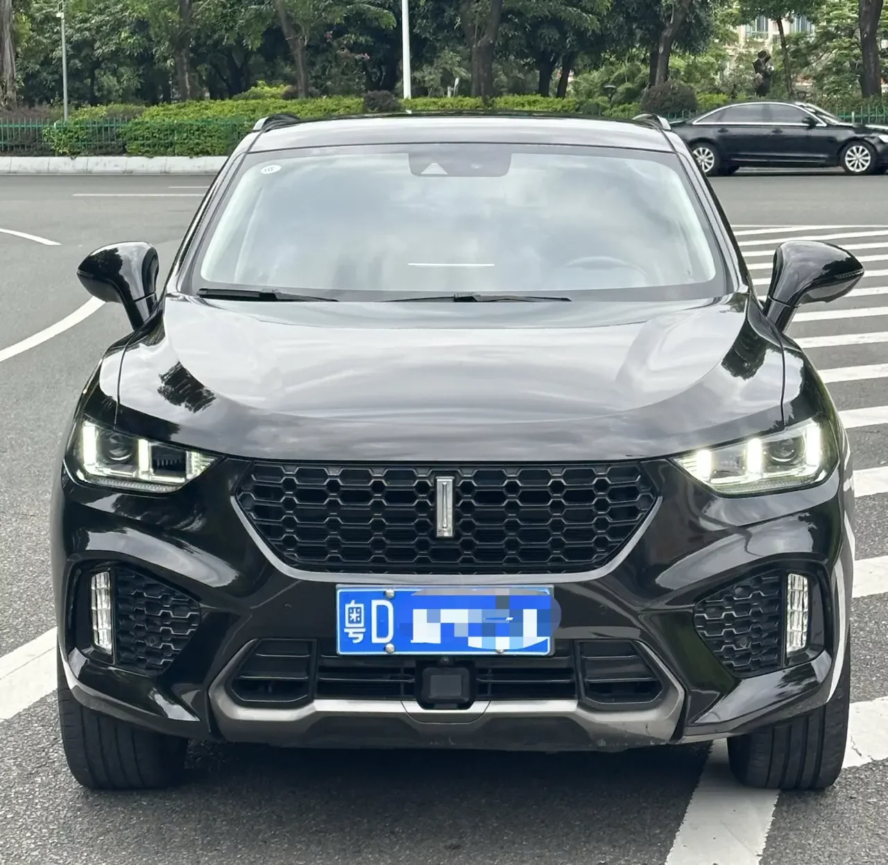Wey Wei brand VV5