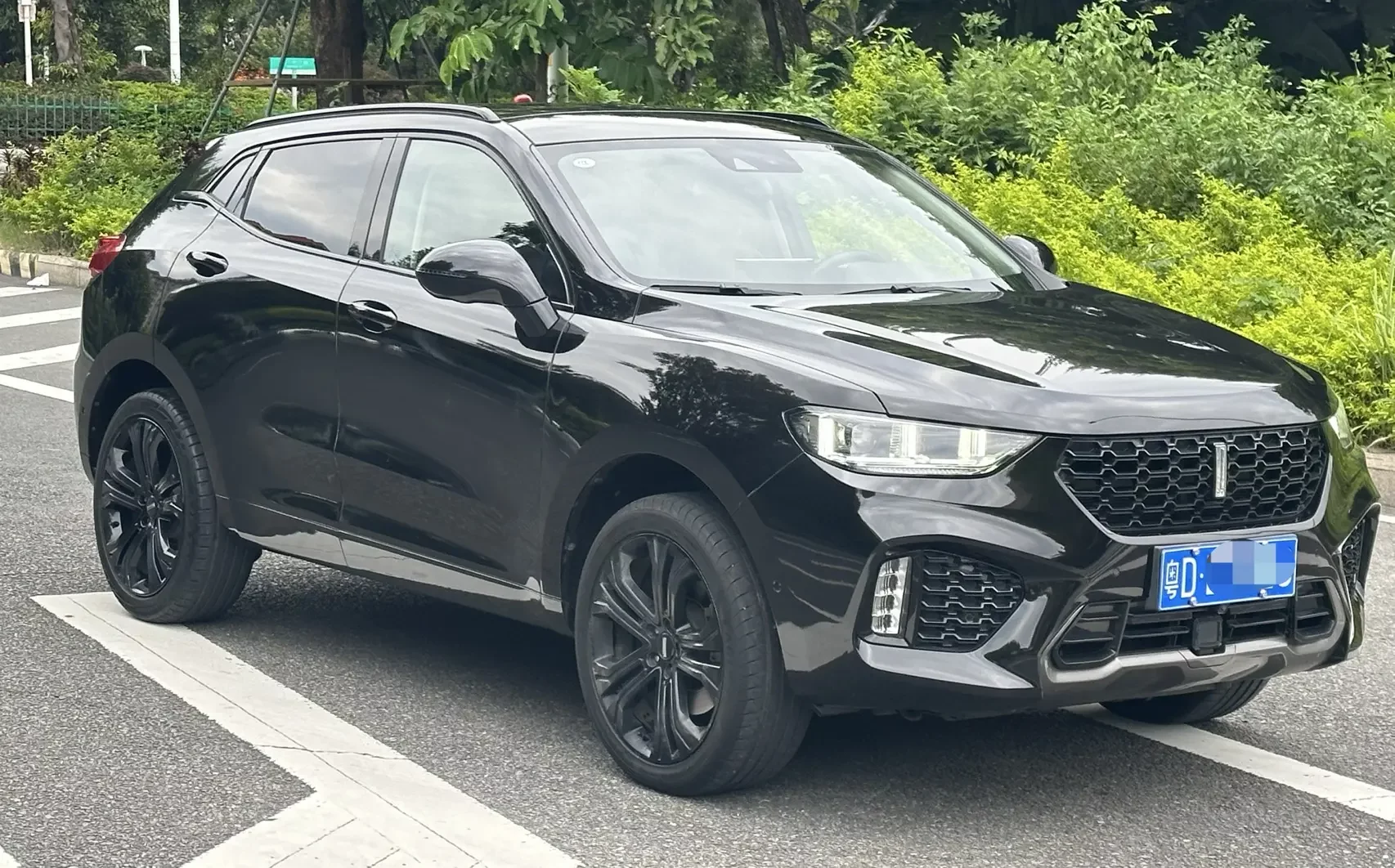 Wey Wei brand VV5