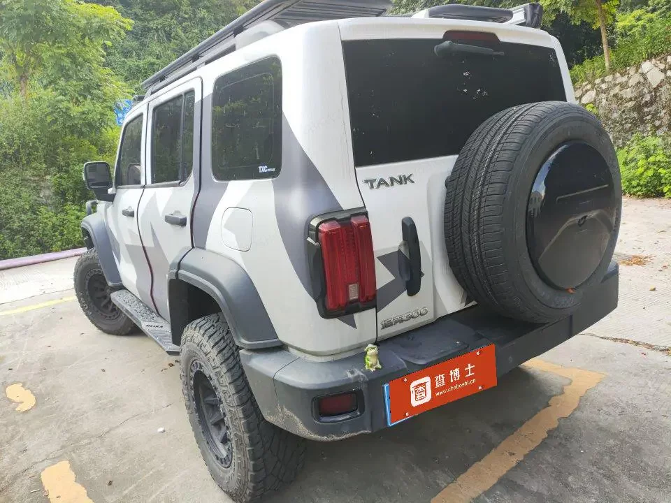 Tank 300