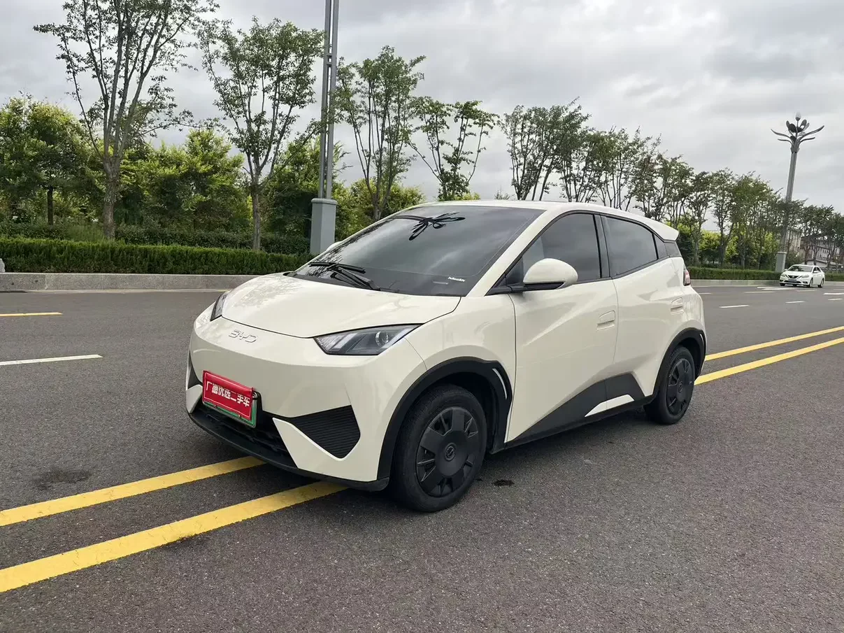 BYD seagull