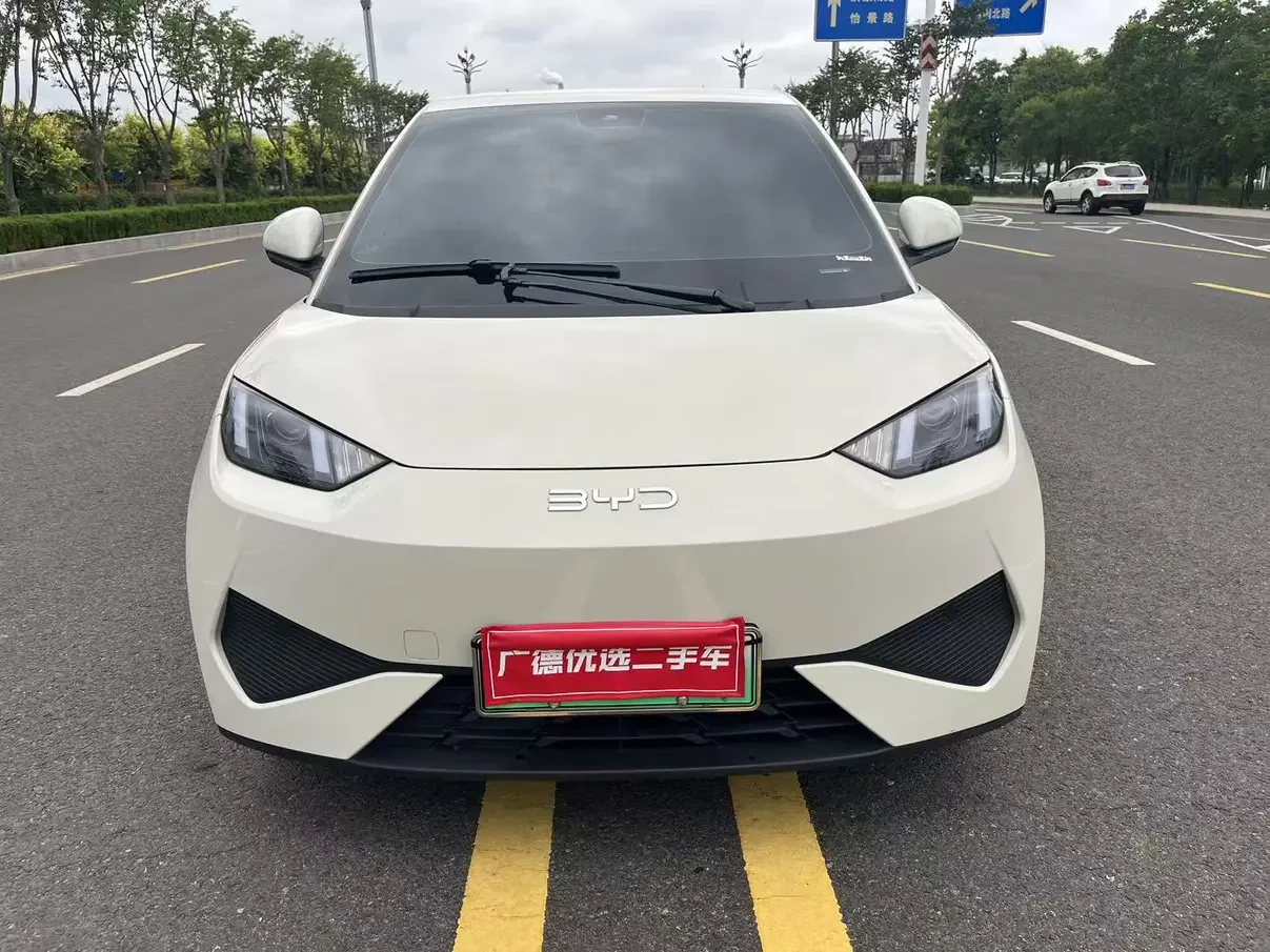 BYD seagull