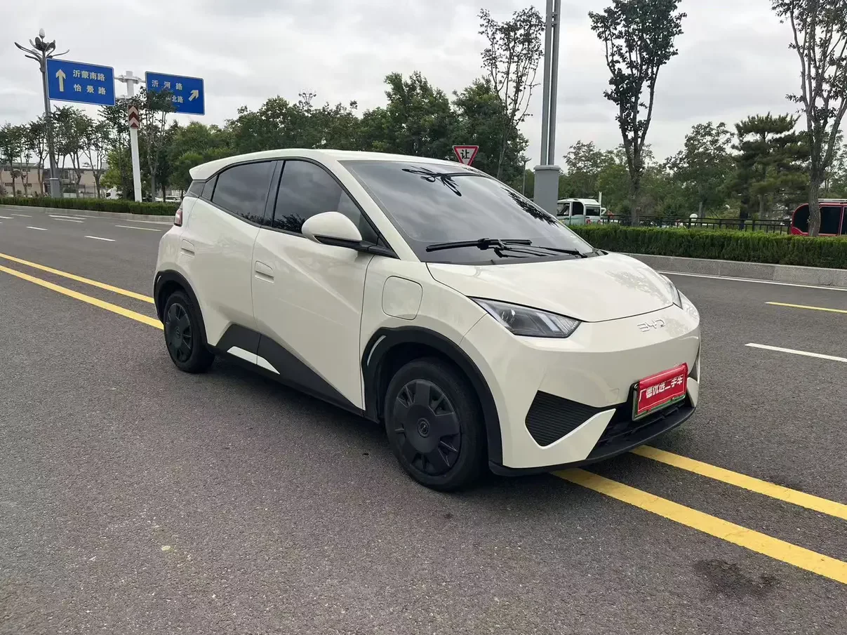 BYD seagull