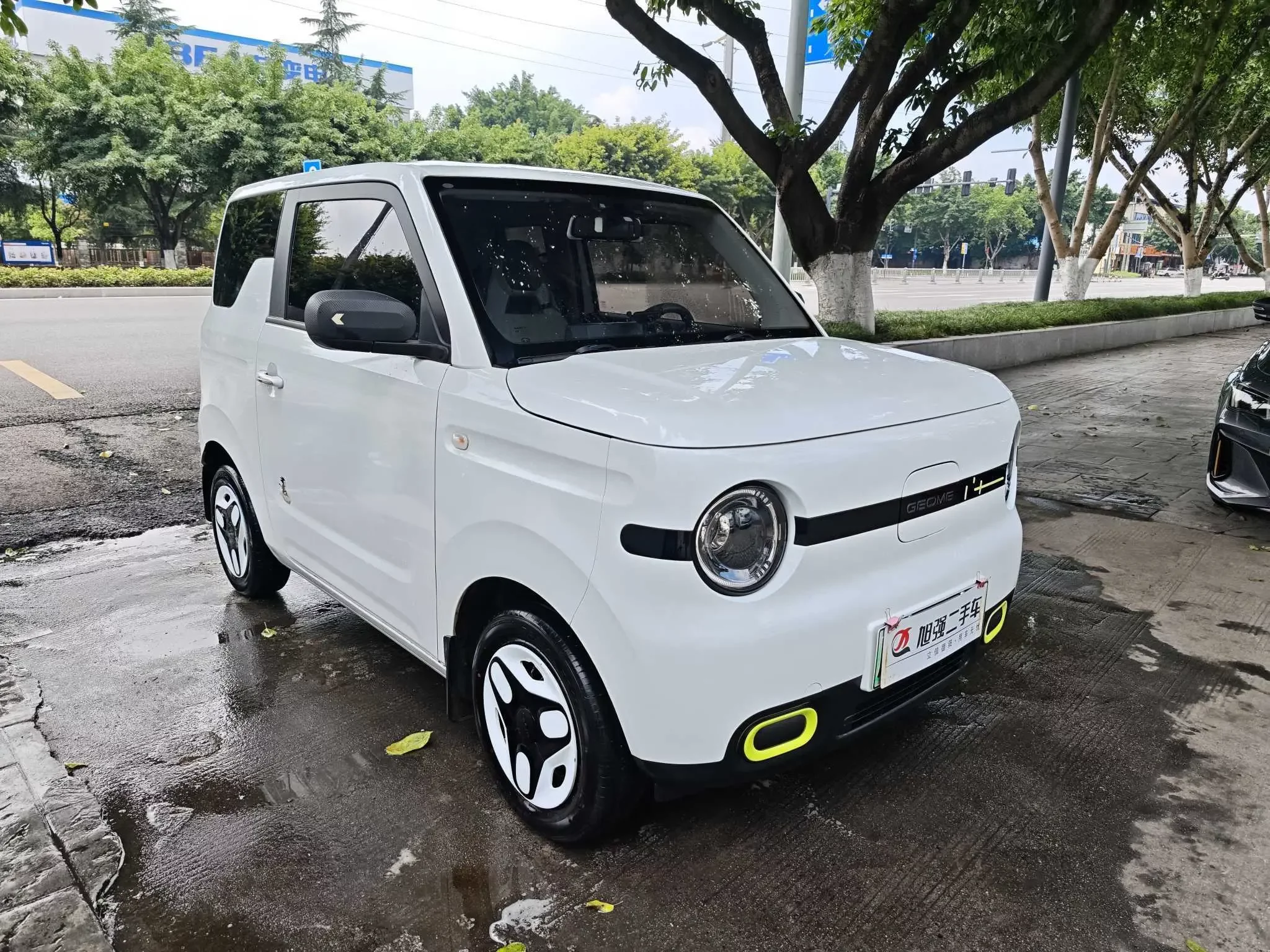 Geely panda