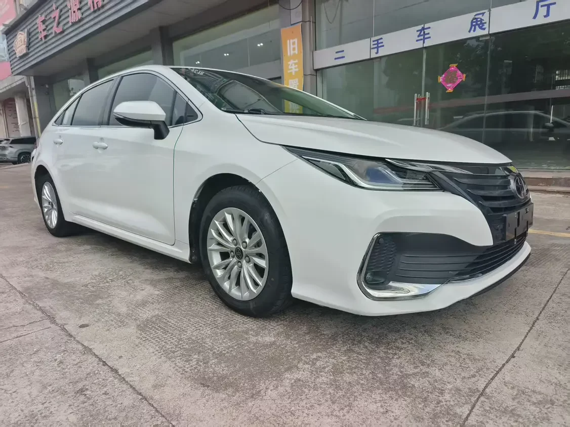 Toyota Asiatic lion