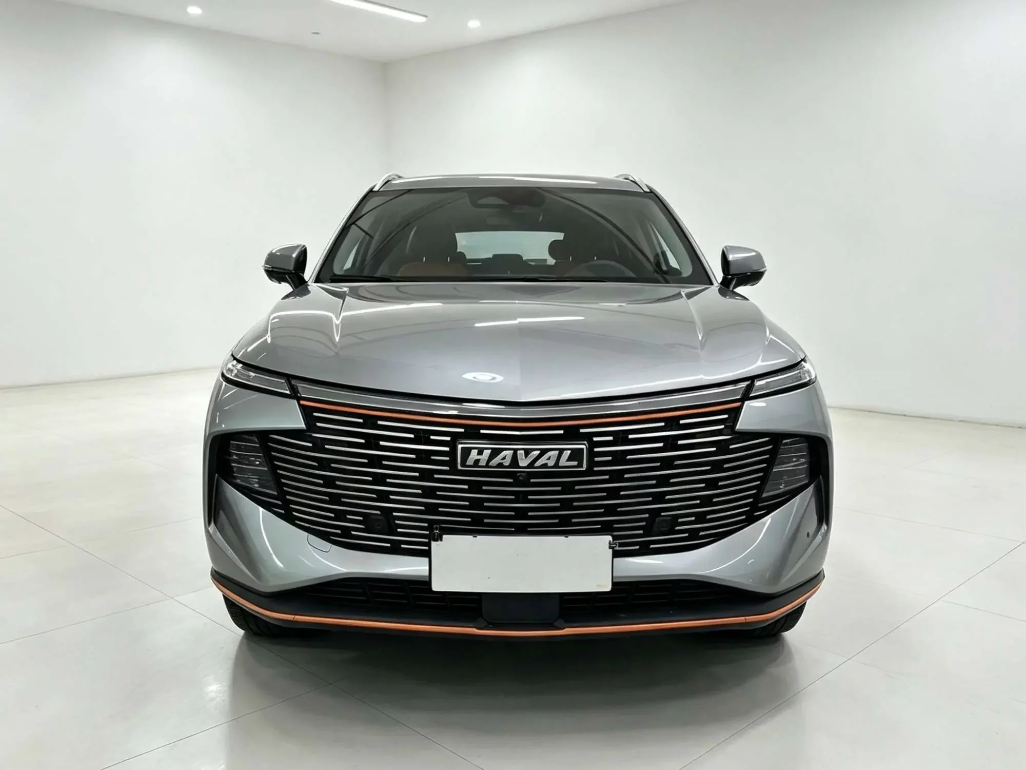 Haval Shenshou (Beast)
