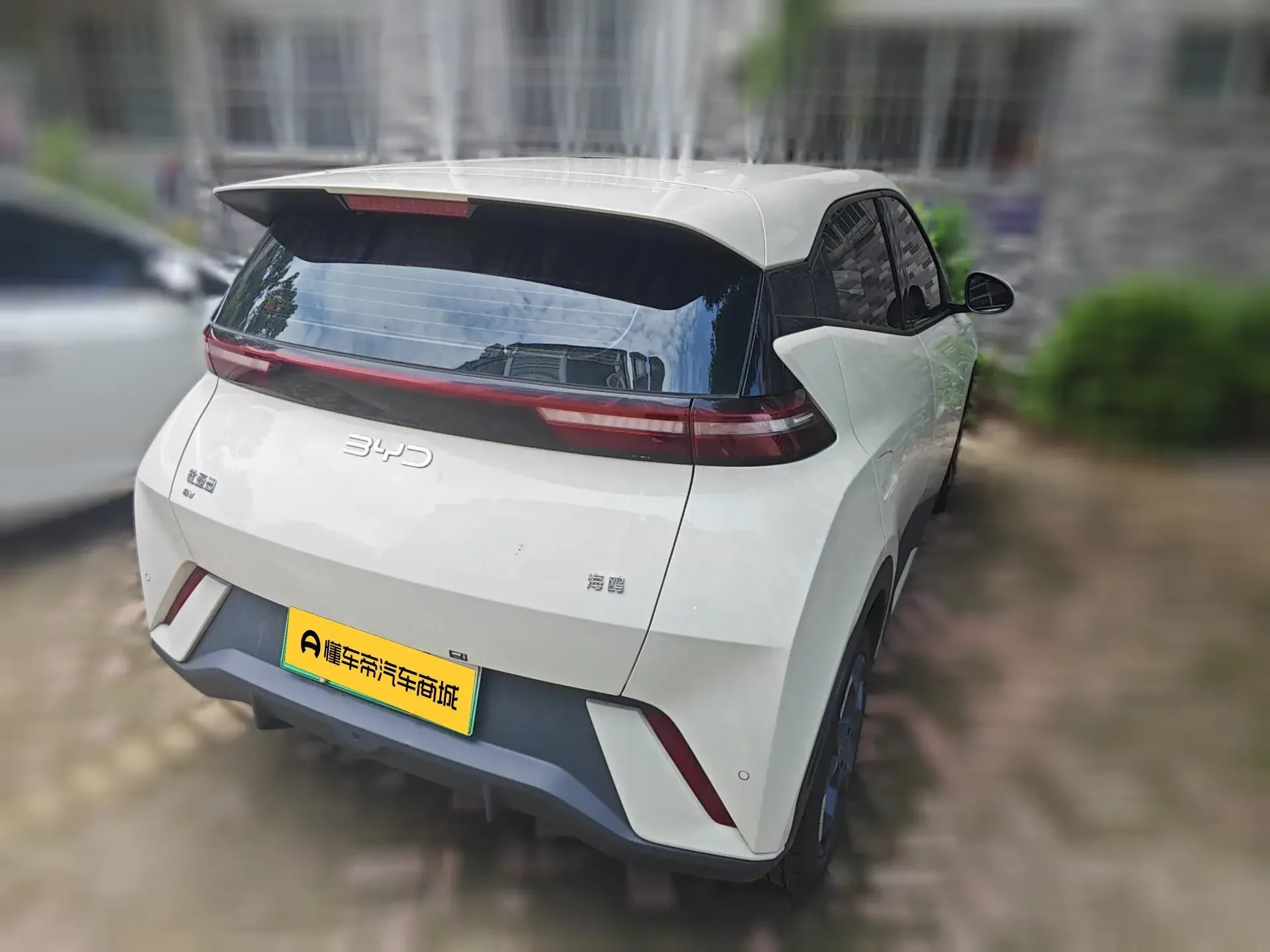BYD seagull