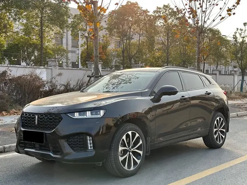 Wey Wei brand VV7