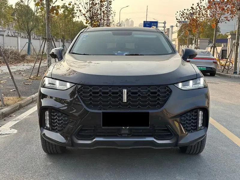 Wey Wei brand VV7
