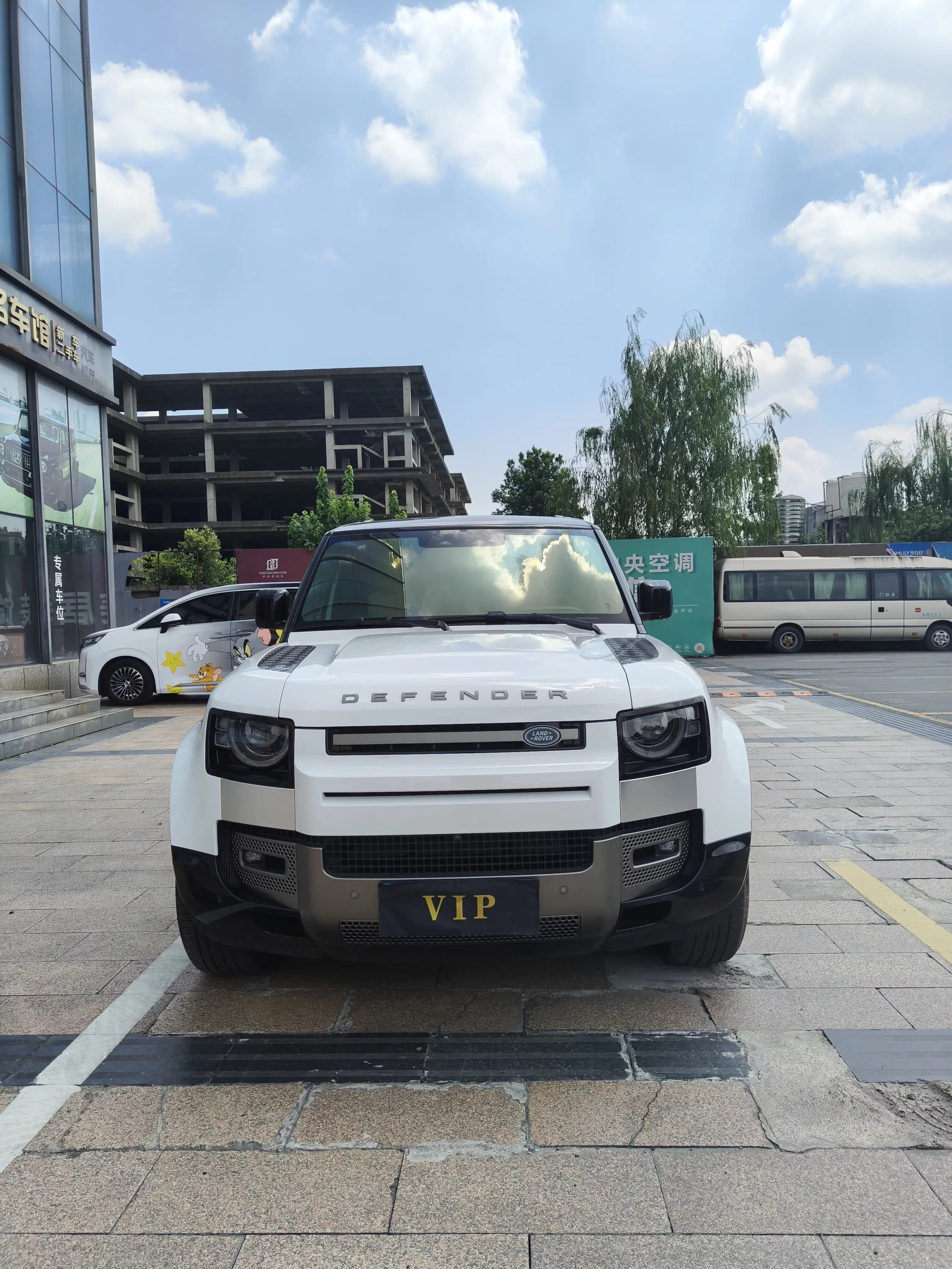 Land Rover guard