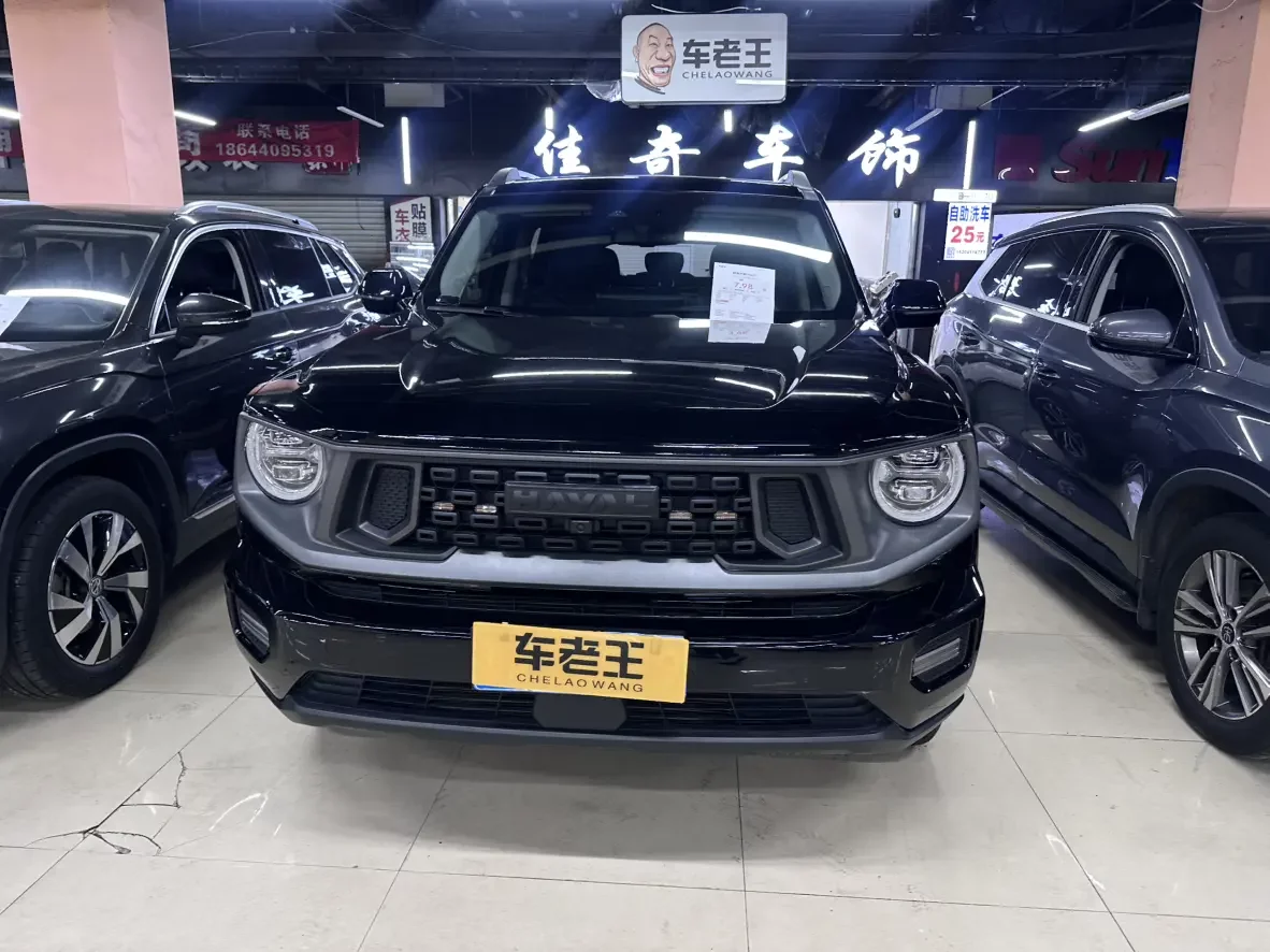 Haval H-Dog (Big Dog PLUS)