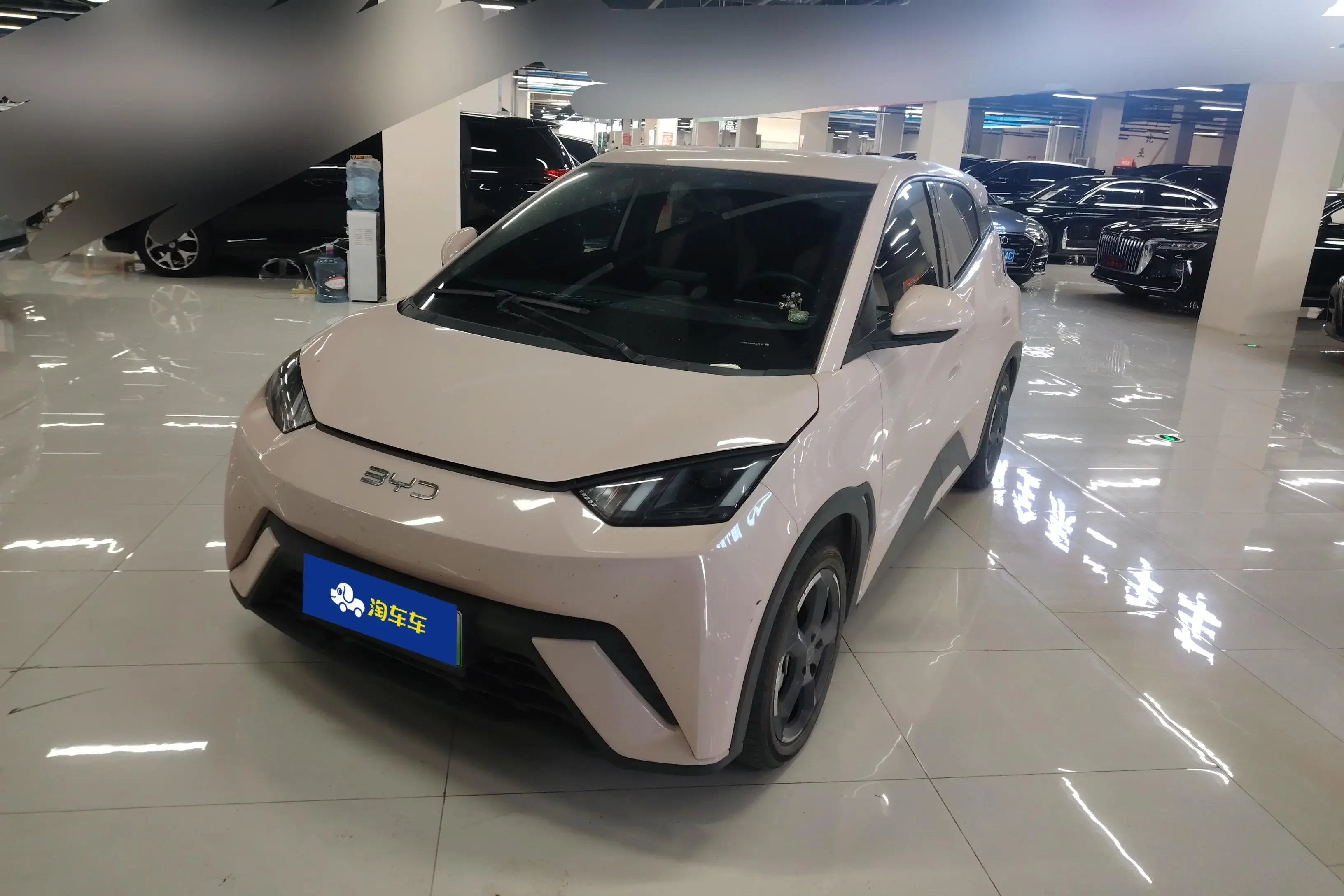BYD seagull