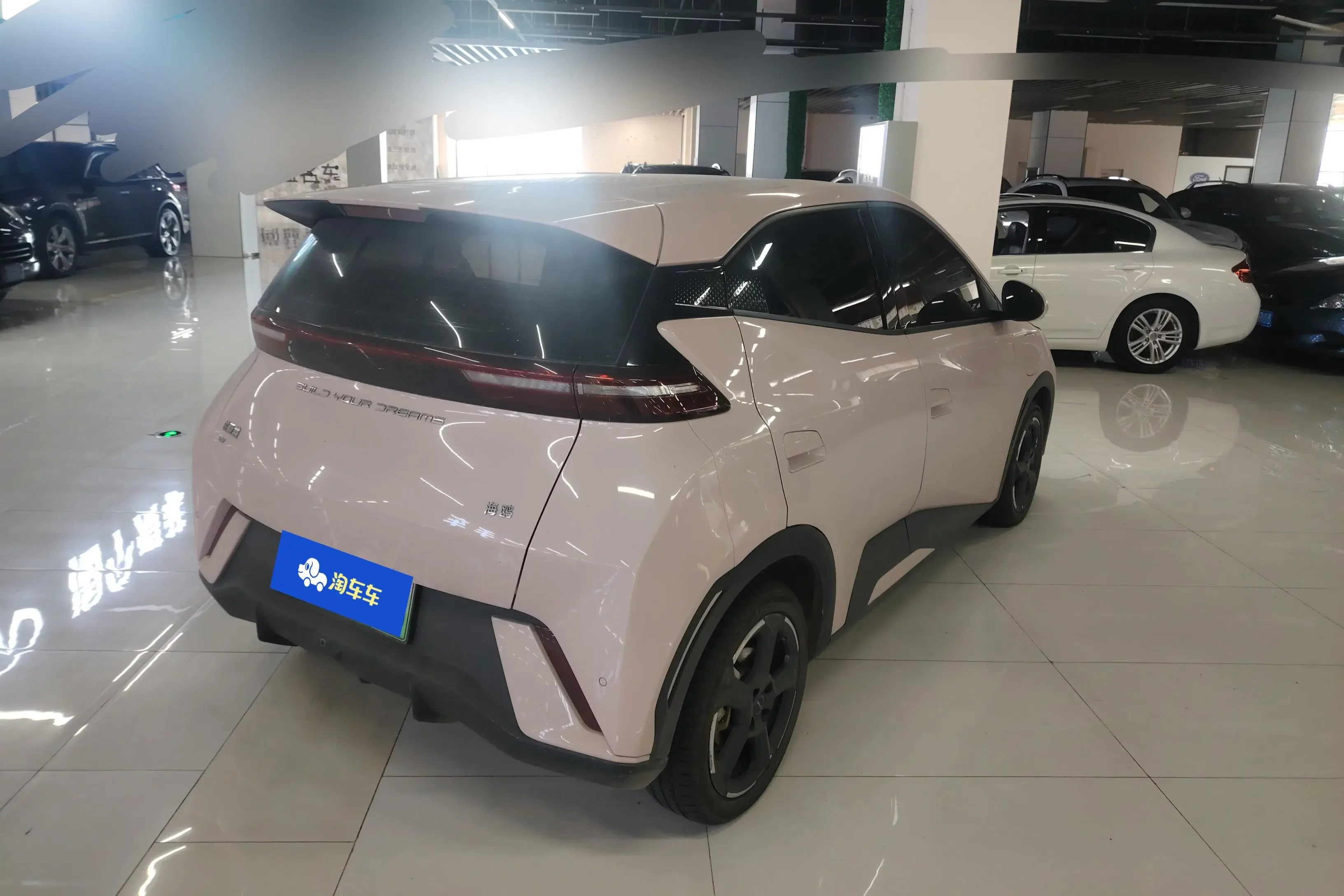 BYD seagull