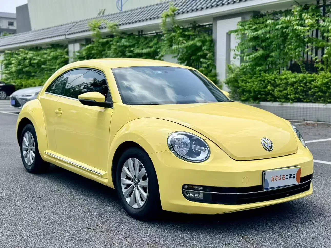 Volkswagen Beetle