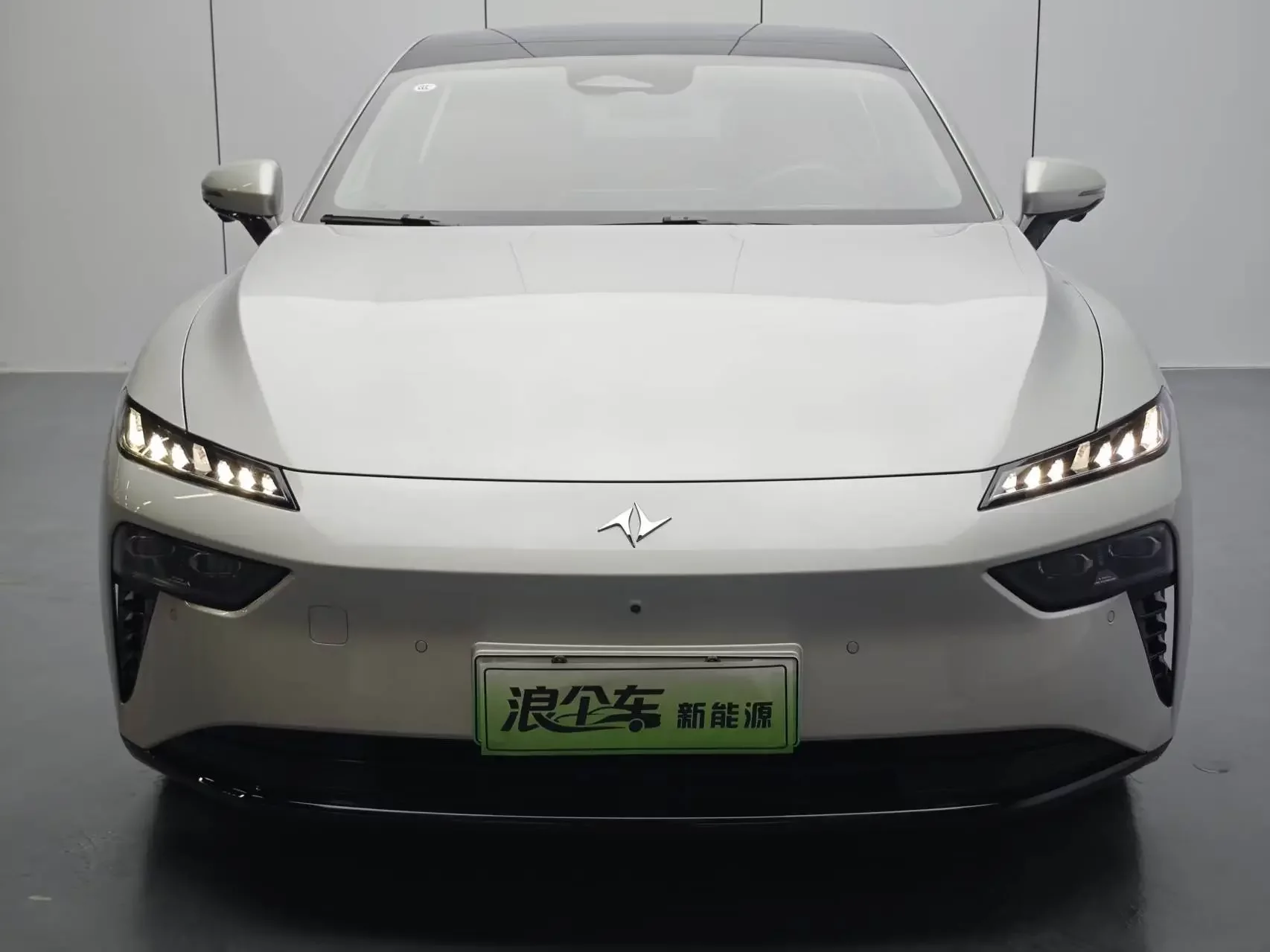 Dongfeng Yipai 007