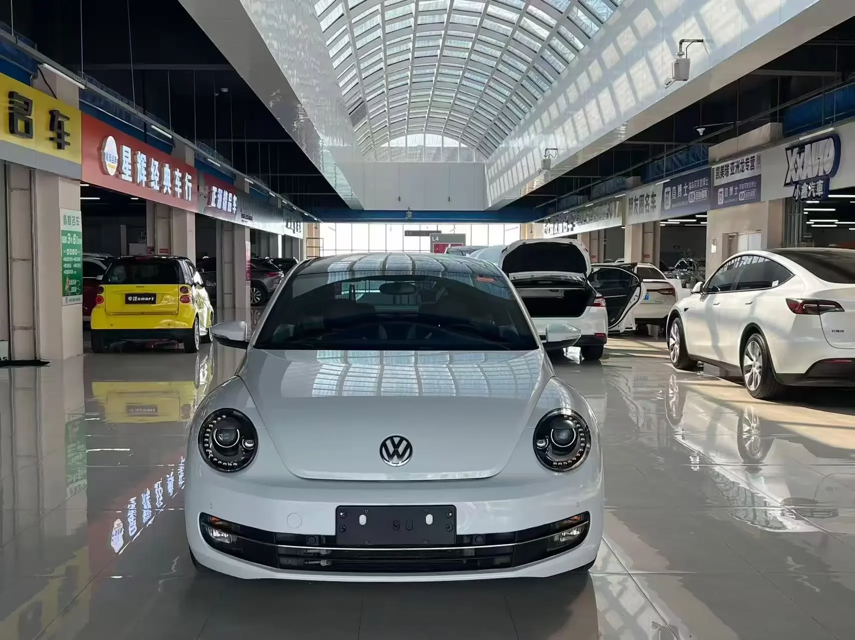 Volkswagen Beetle