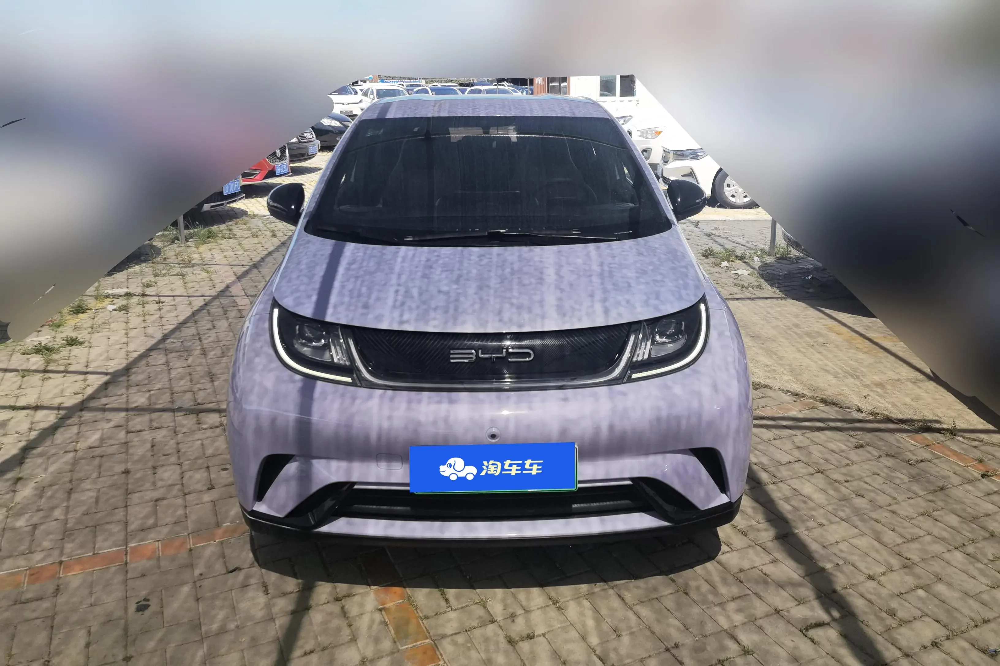 BYD dolphin