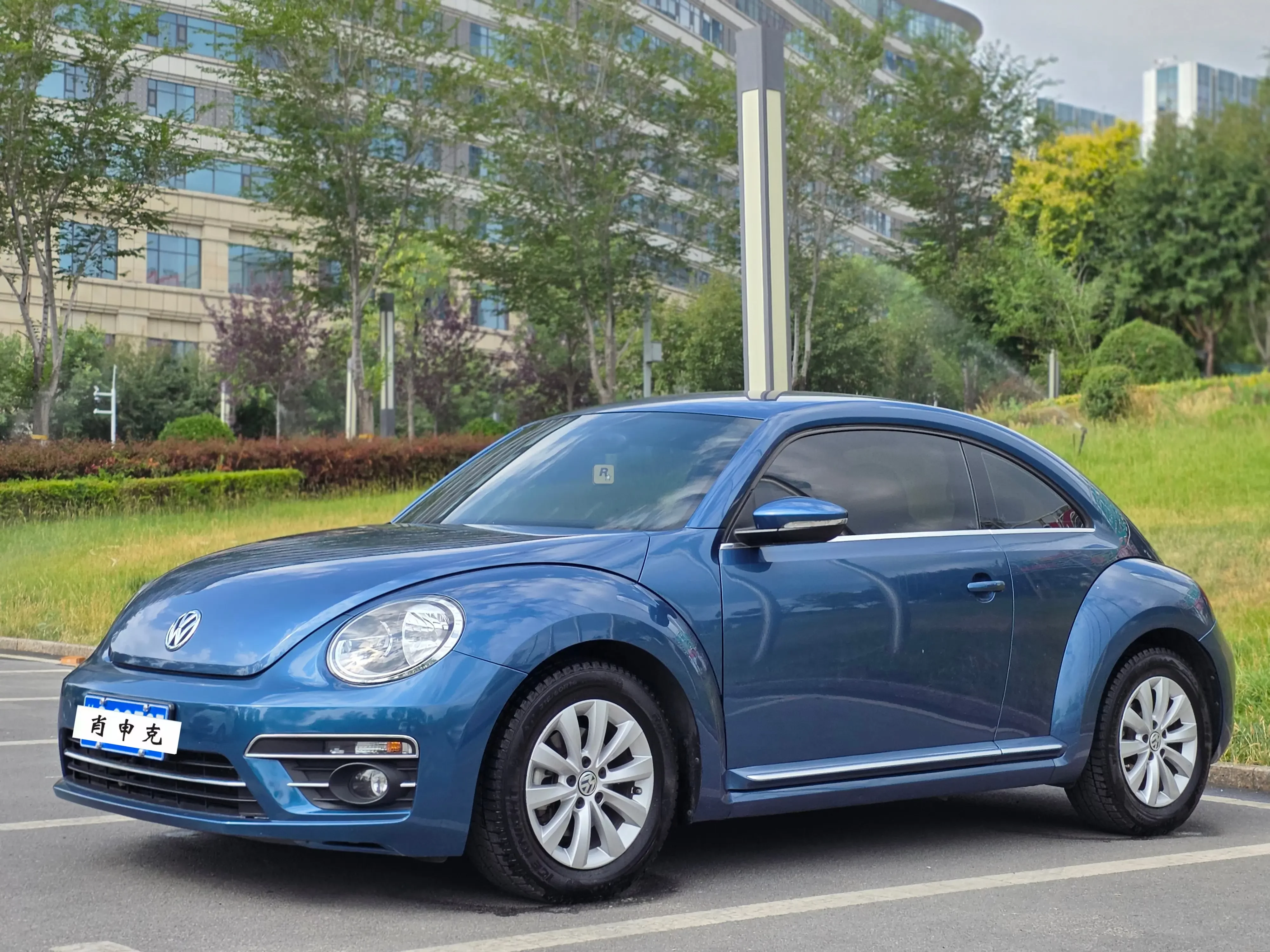 Volkswagen Beetle