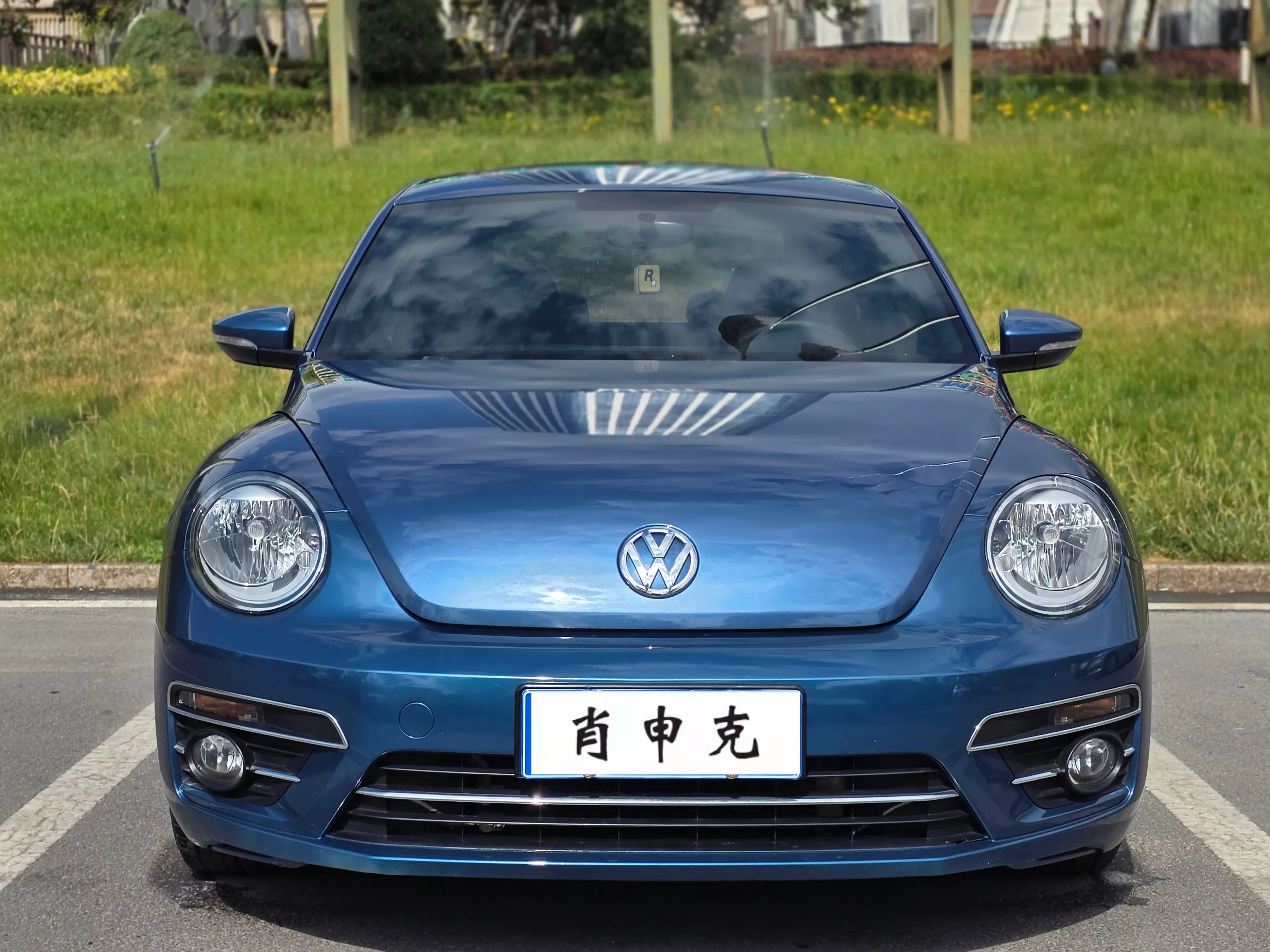 Volkswagen Beetle